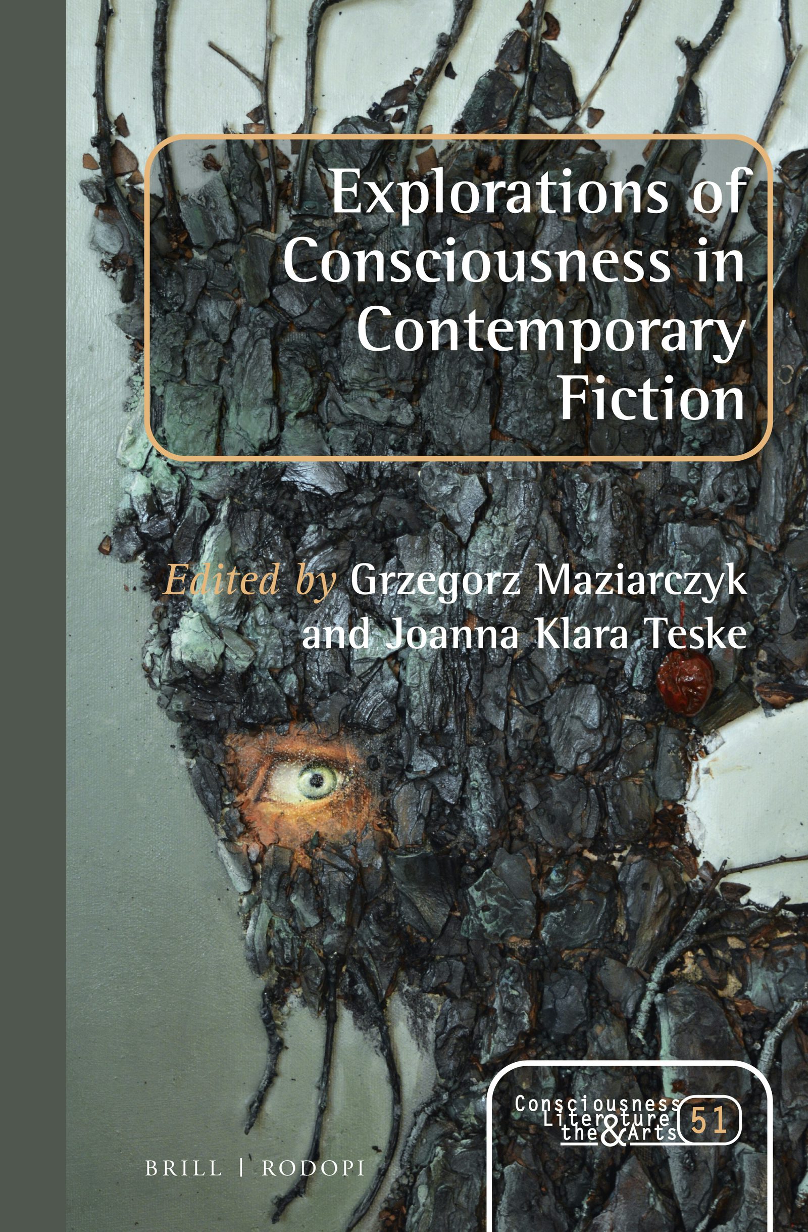 Book cover image for Explorations of Consciousness in Contemporary Fiction ISBN: 9789004347830