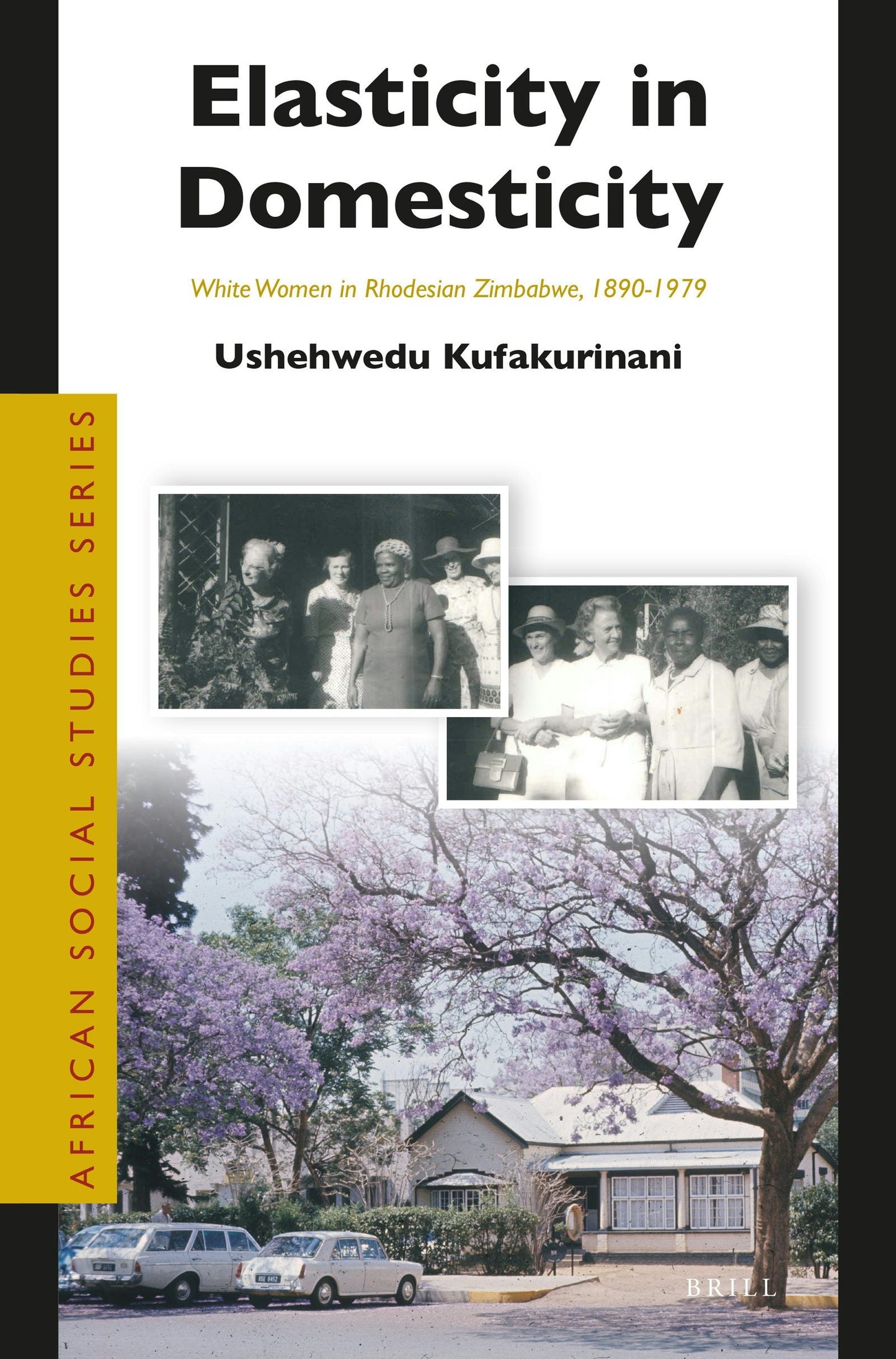 Book cover image for Elasticity in Domesticity: White Women in Rhodesian Zimbabwe, 1890-1979 ISBN: 9789004370562