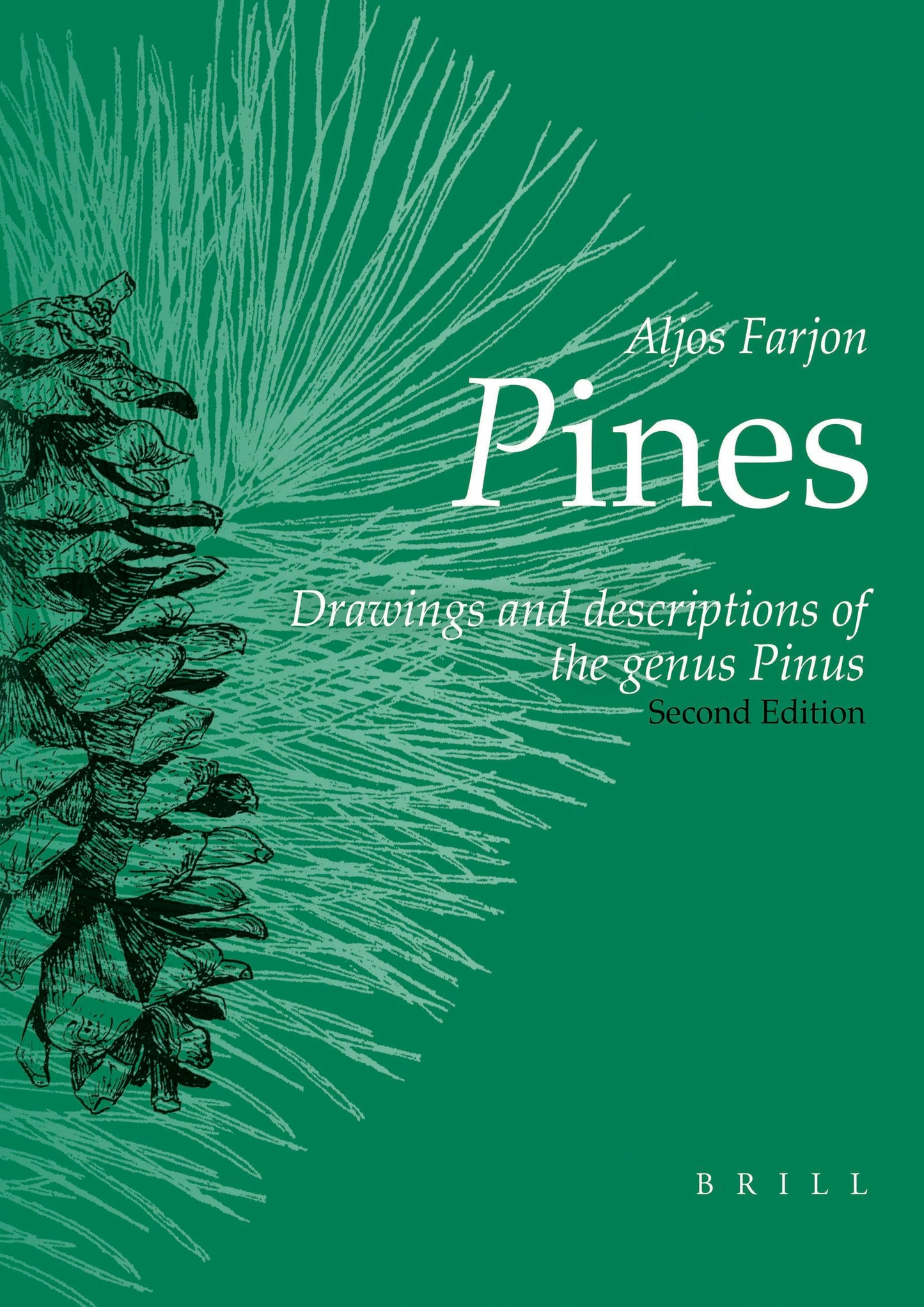 Book cover image for Pines, 2nd revised edition ISBN: 9789004371644