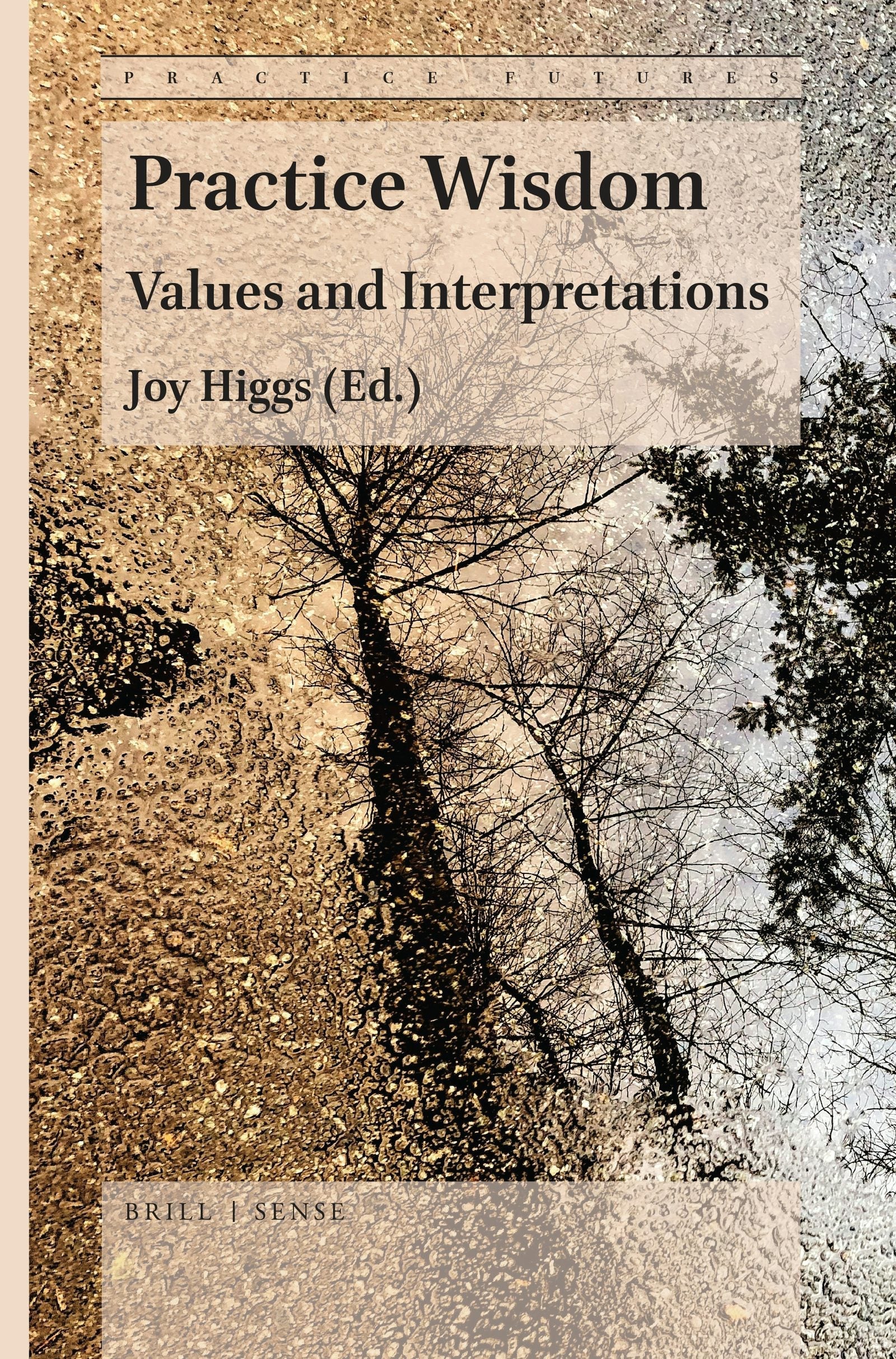 Book cover image for Practice Wisdom ISBN: 9789004410473