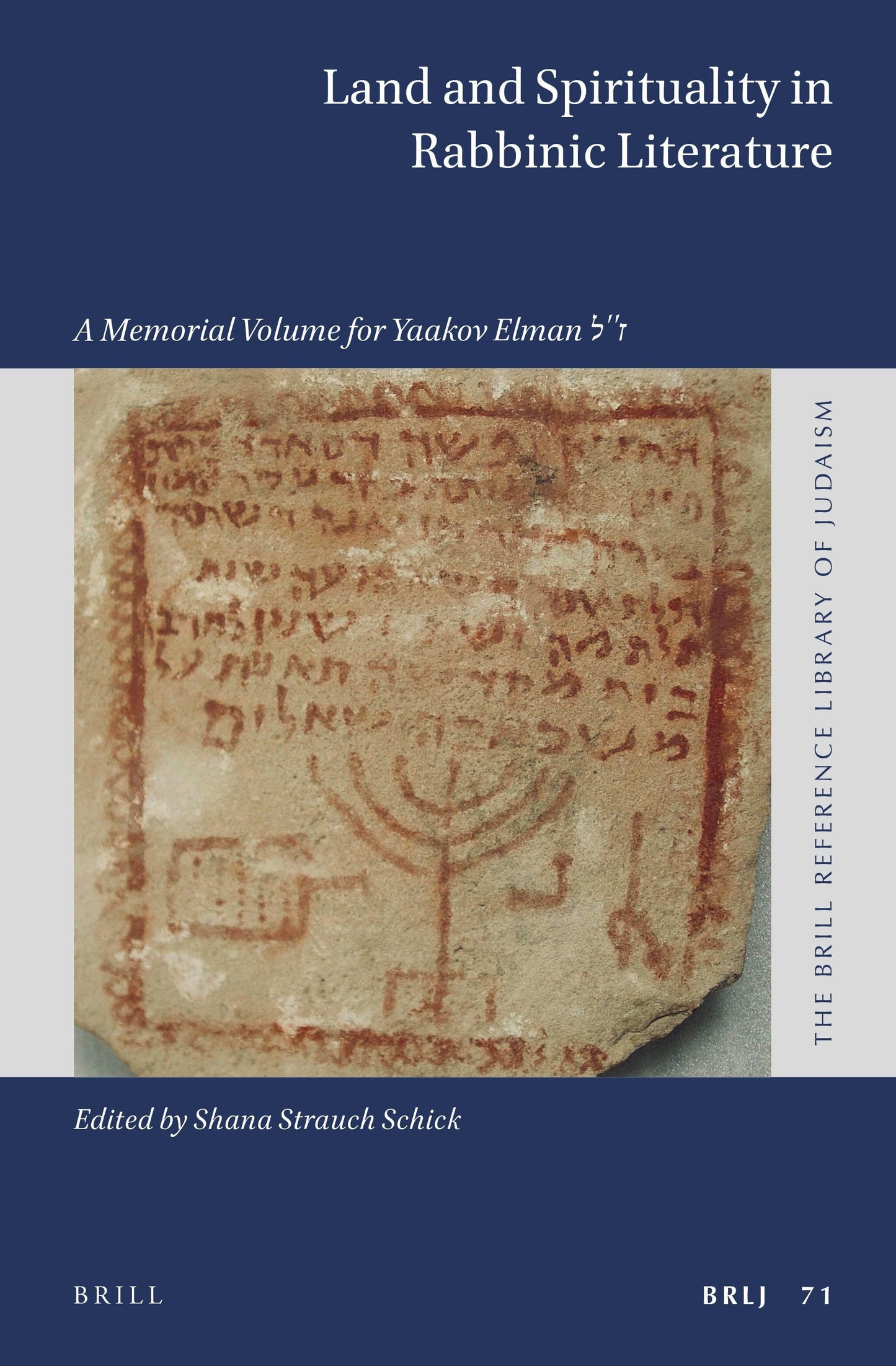 Book cover image for Land and Spirituality in Rabbinic Literature ISBN: 9789004503151