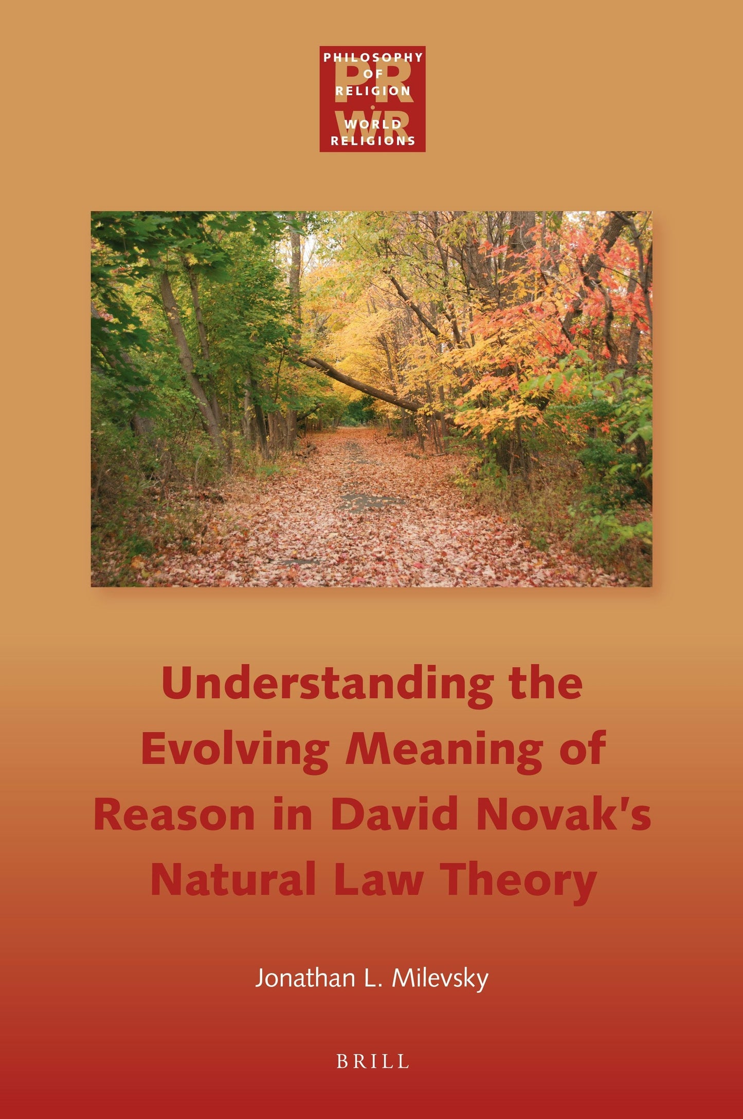 Book cover image for Understanding the Evolving Meaning of Reason in David Novak's Natural Law Theory ISBN: 9789004504356