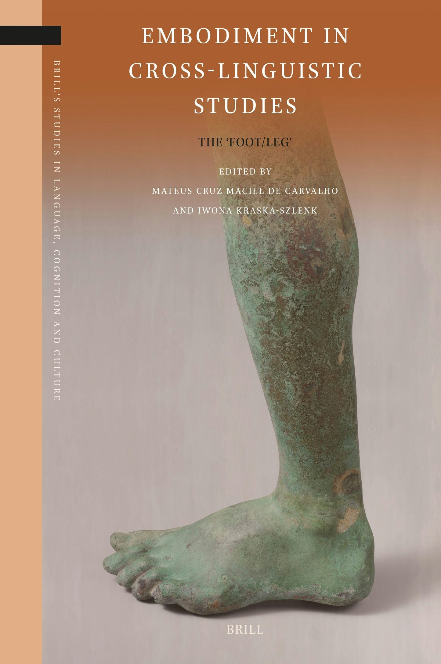 Book cover image for Embodiment in Cross-Linguistic Studies ISBN: 9789004732094