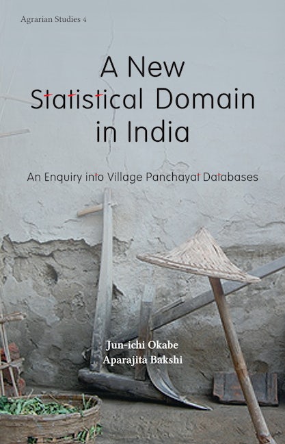 Book cover image for A New Statistical Domain in India ISBN: 9789382381785