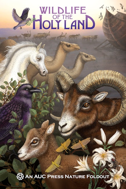 Book cover image for Wildlife of the Holy Land ISBN: 9789774166747