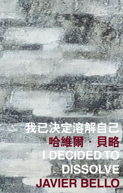 Book cover image for I Decided to Dissolve ISBN: 9789882370258