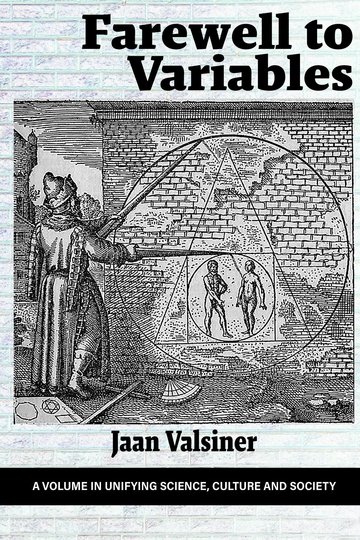 Book cover image for Farewell to Variables ISBN: 9798887301877