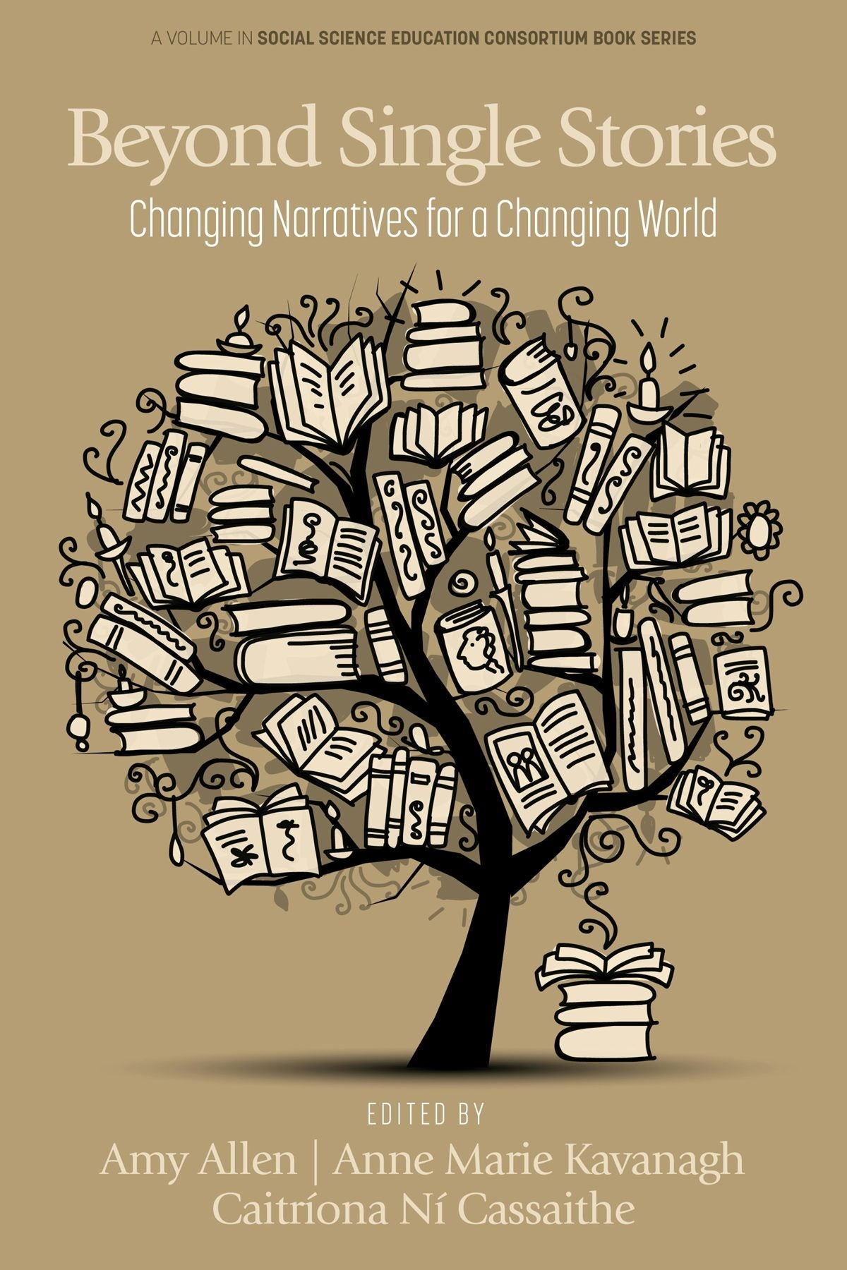 Book cover image for Beyond Single Stories ISBN: 9798887305097