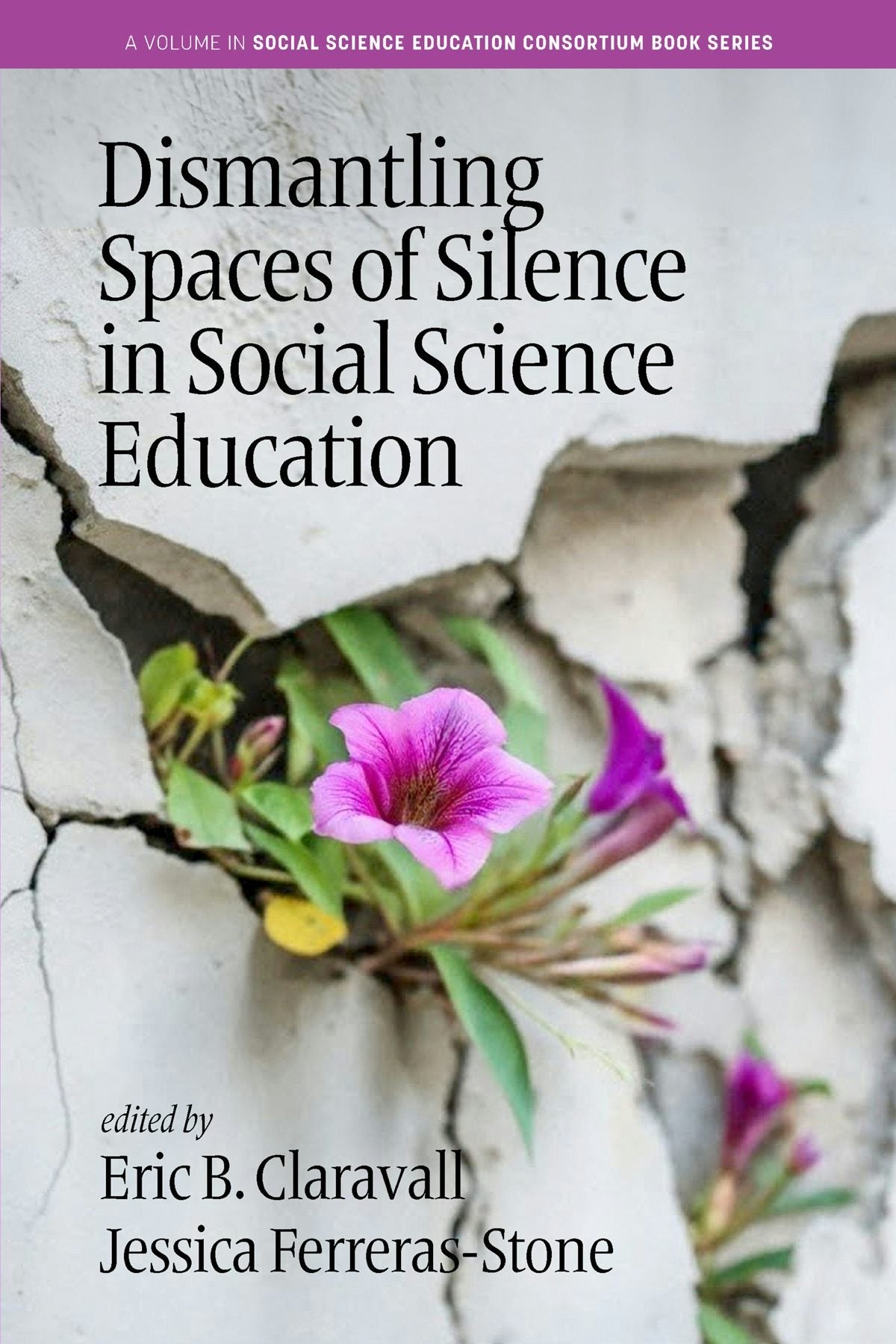 Book cover image for Dismantling Spaces of Silence in Social Science Education ISBN: 9798887308234