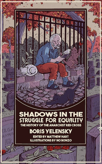 Book cover image for Shadows In the Struggle for Equality ISBN: 9798887440873