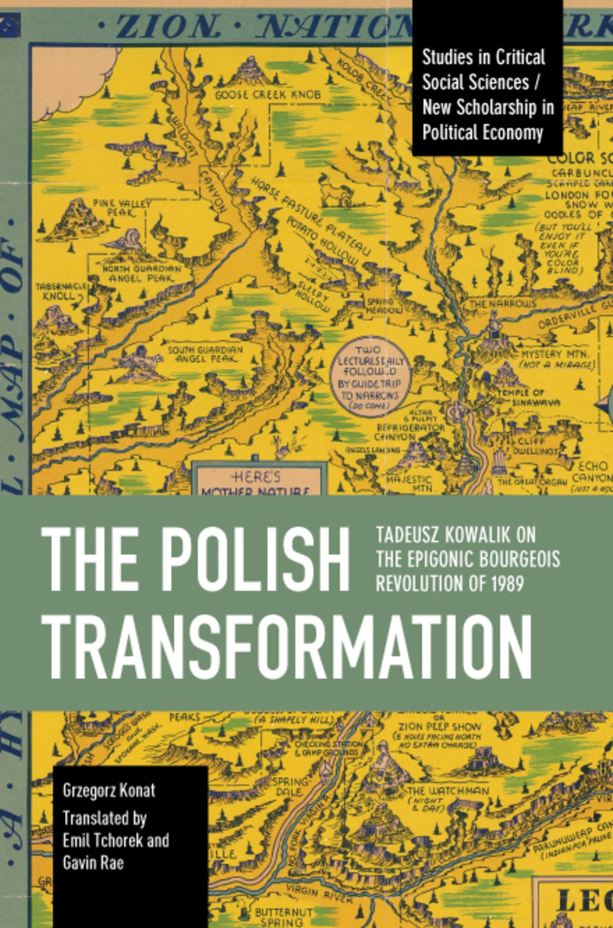 Cover image for The Polish Transformation ISBN 9798888903537