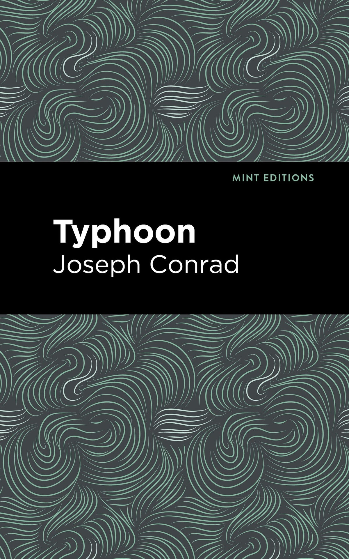 Cover image for Typhoon ISBN 9798888973424