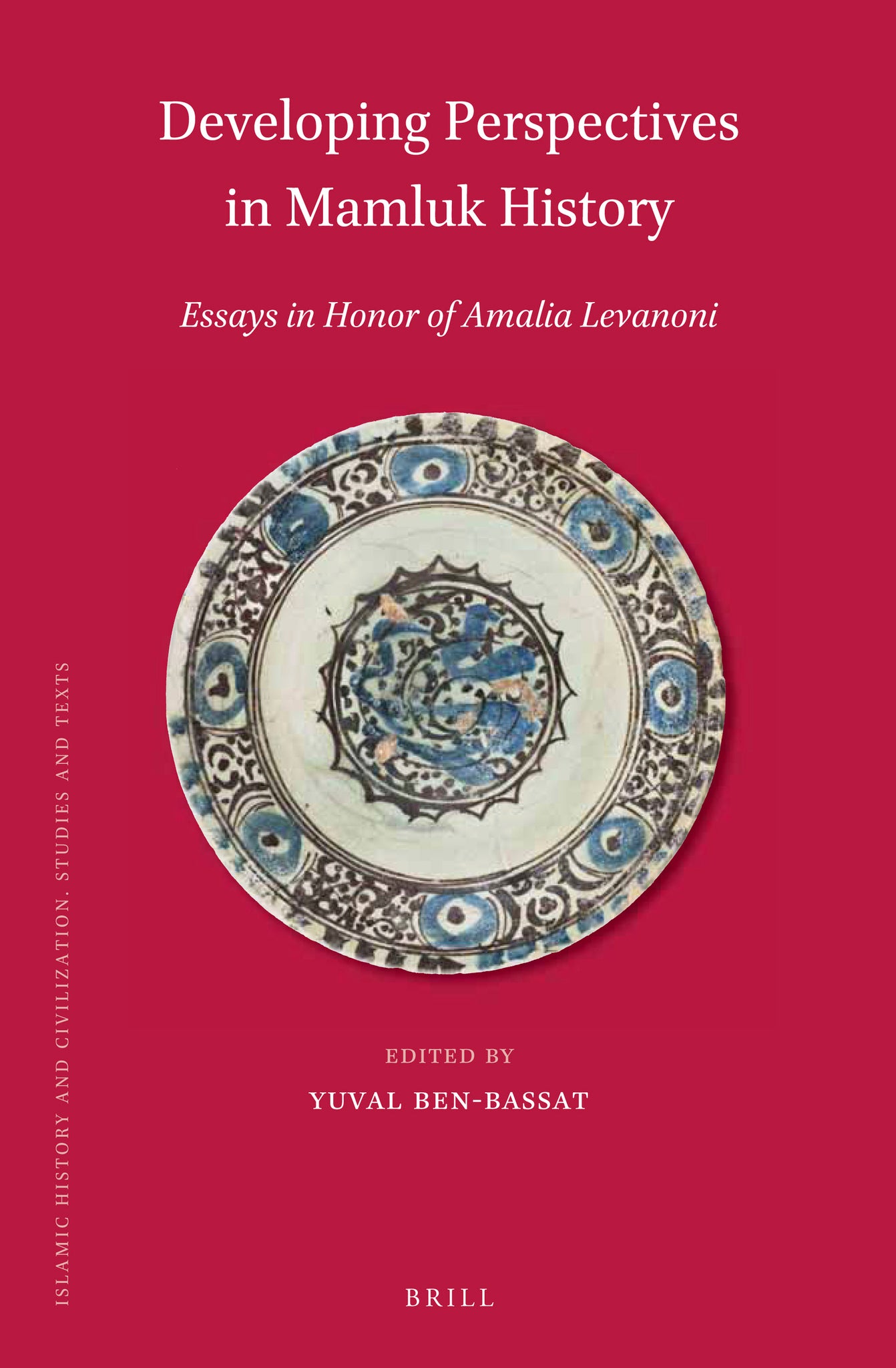Developing Perspectives in Mamluk History