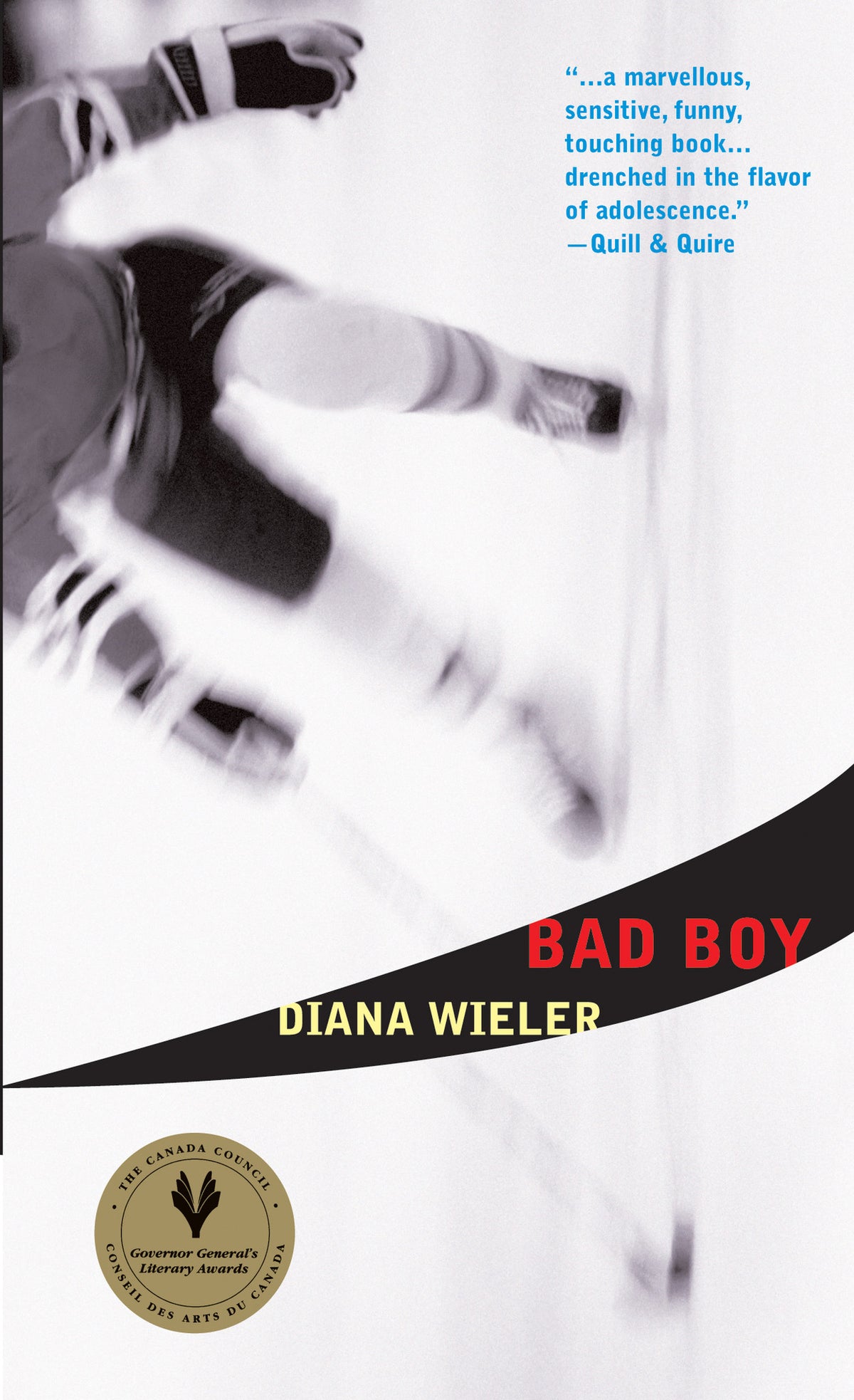 Cover image for Bad Boy ISBN 9780888990839