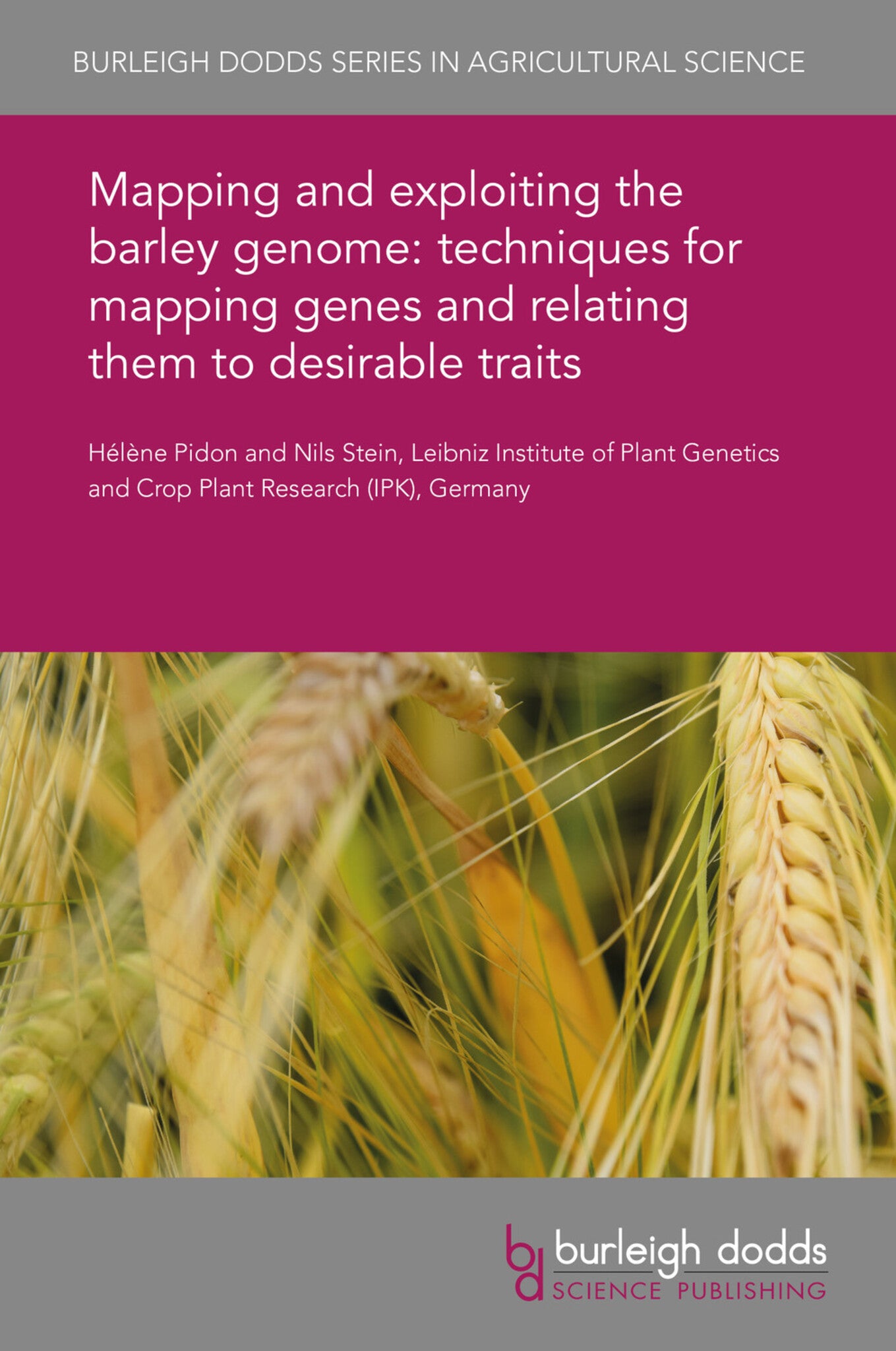 Cover image for Mapping and exploiting the barley genome: techniques for mapping genes and relating them to desirable traits ISBN 9781786766083