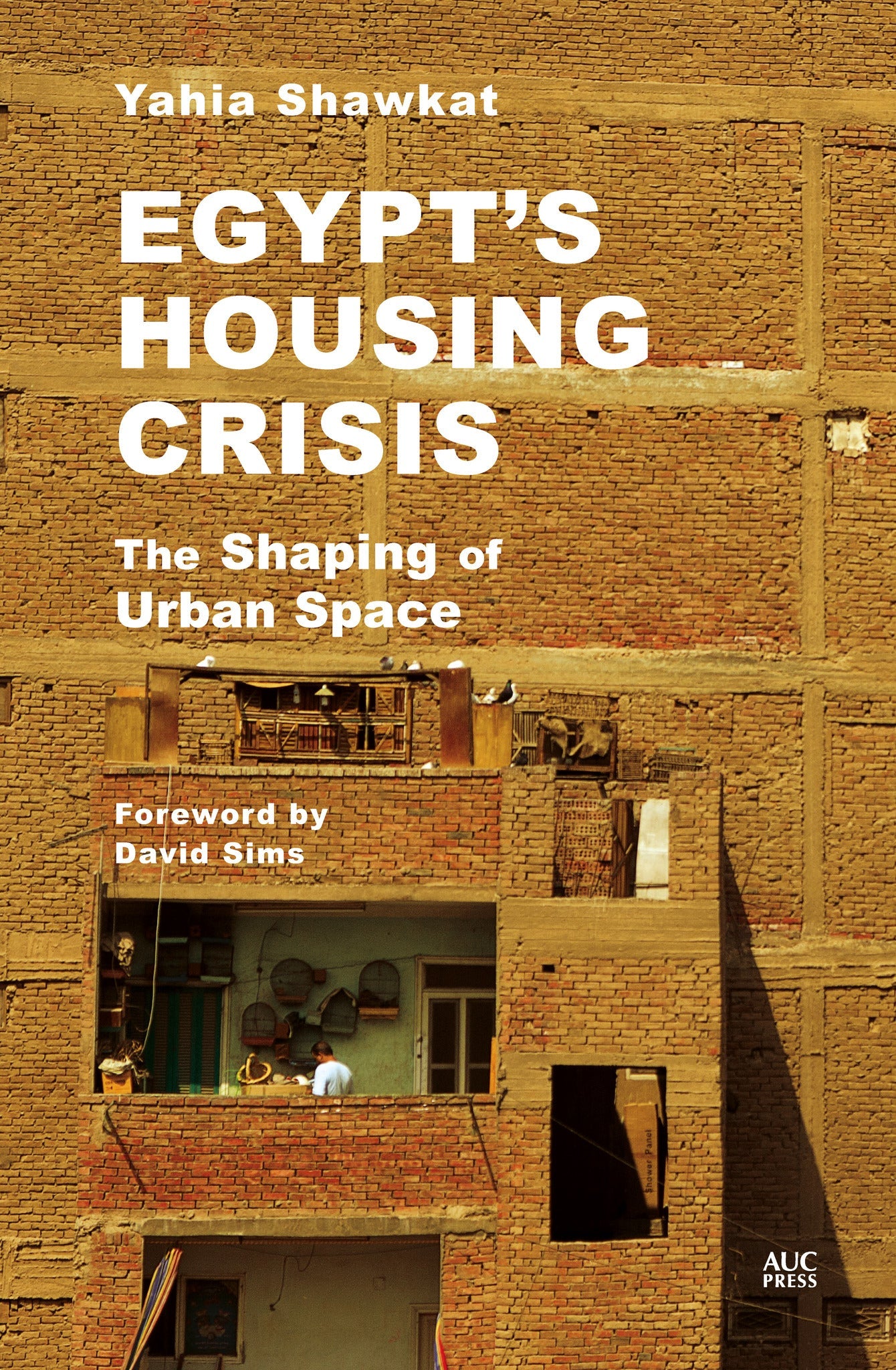 Cover image for Egypt's Housing Crisis ISBN 9781649030337