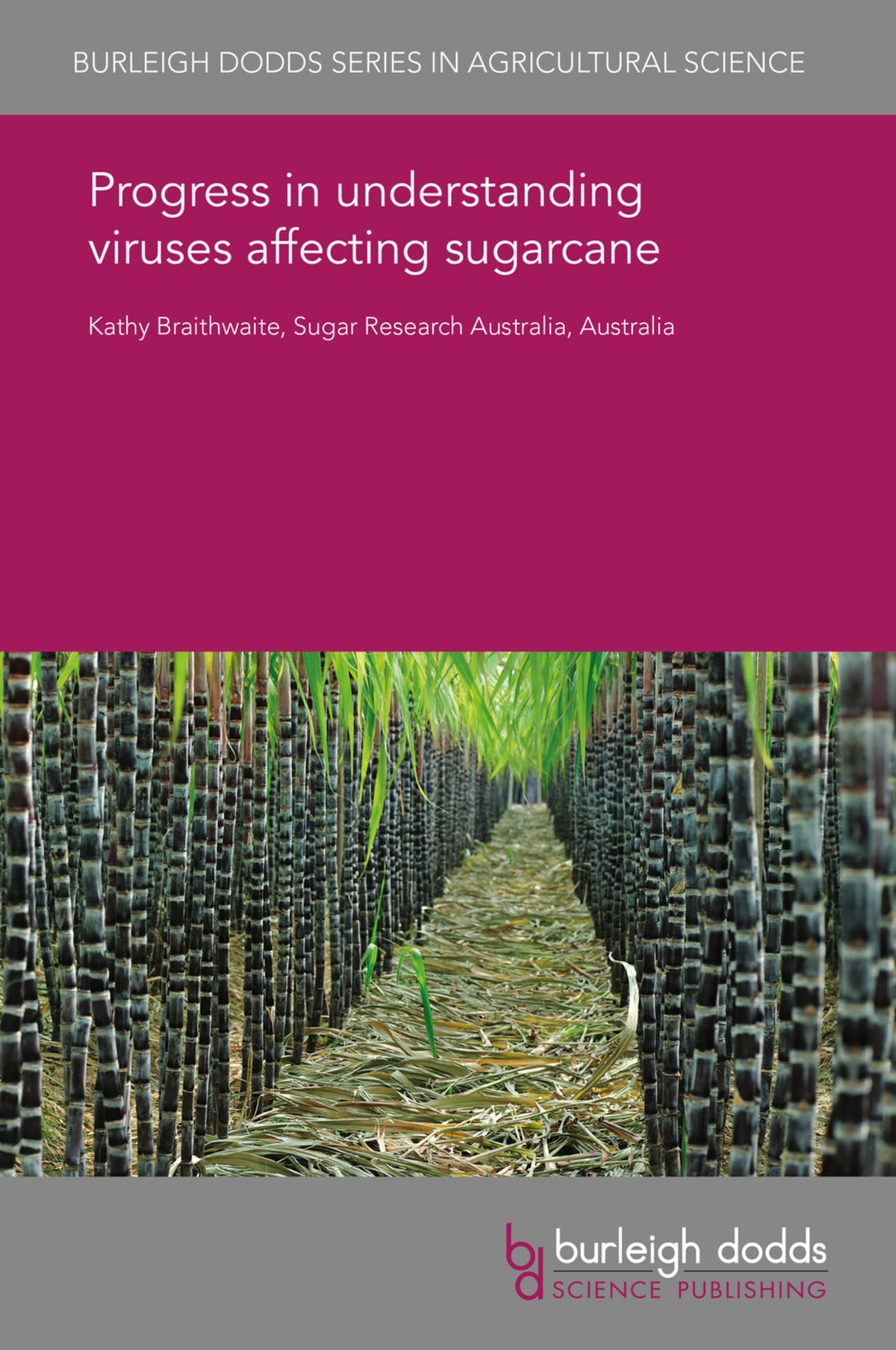 Cover image for Progress in understanding viruses affecting sugarcane ISBN 9781838795993