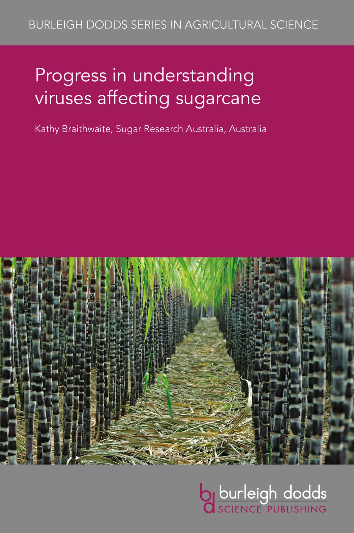 Cover image for Progress in understanding viruses affecting sugarcane ISBN 9781838795993