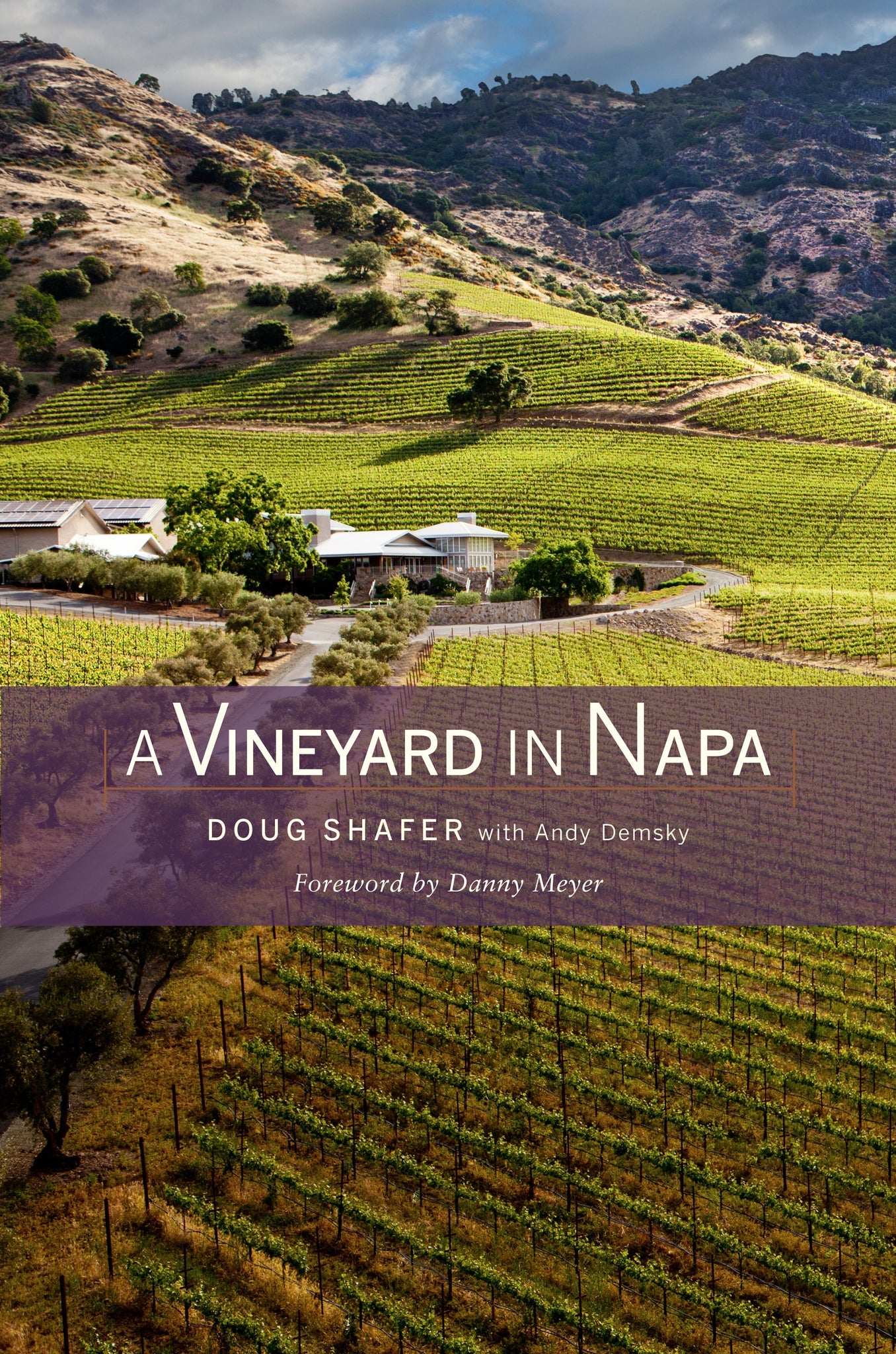 Cover image for A Vineyard in Napa ISBN 9780520954120