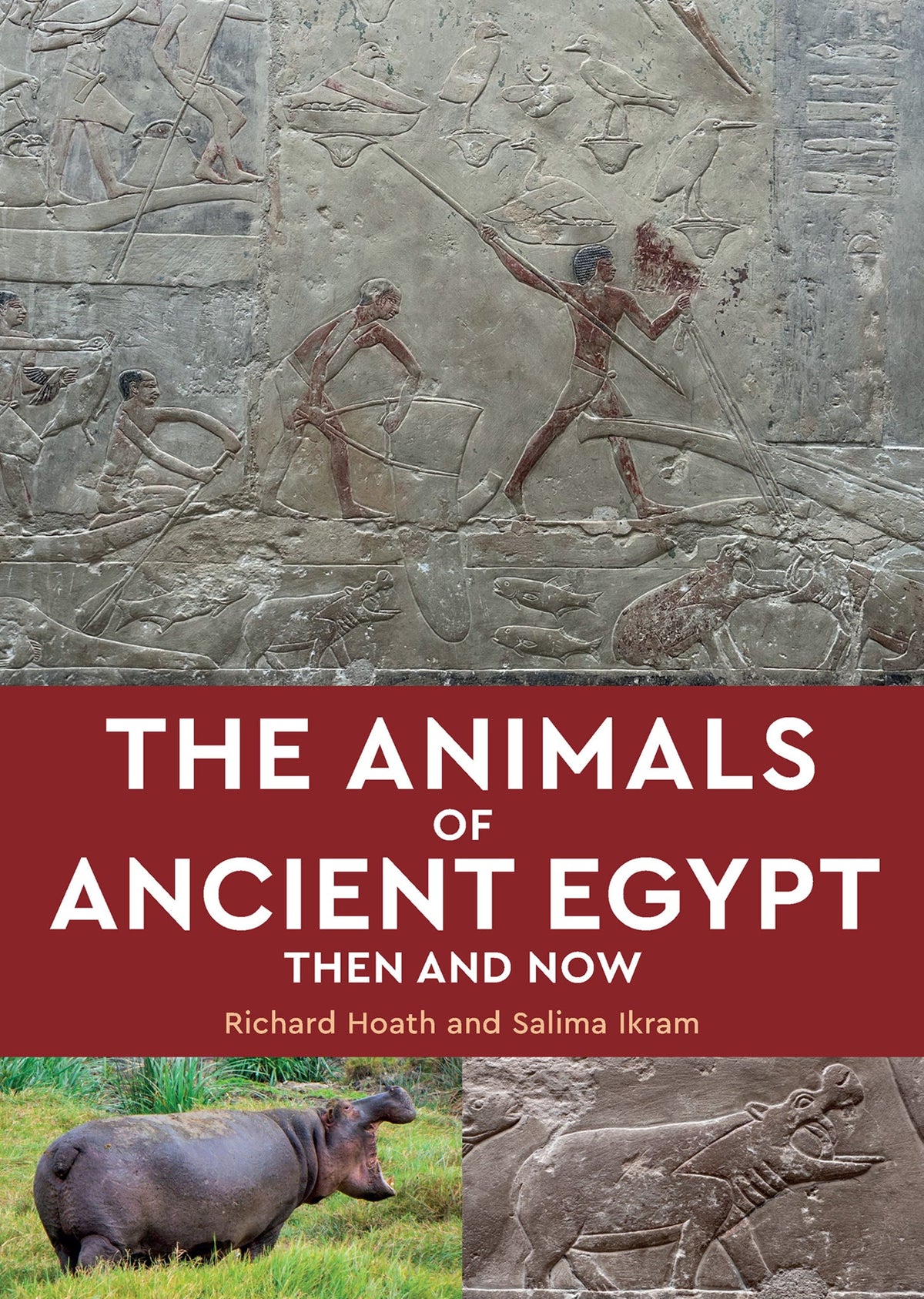 Cover image for The Animals of Ancient Egypt: ISBN 9781649035080