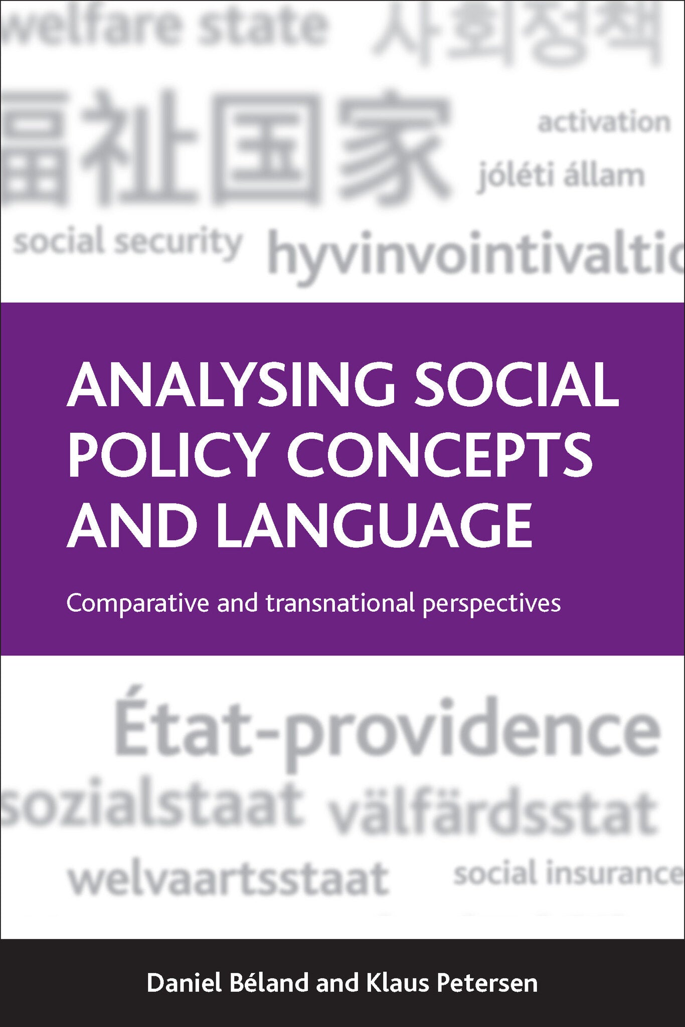Cover image for Analysing Social Policy Concepts and Language ISBN 9781447306443