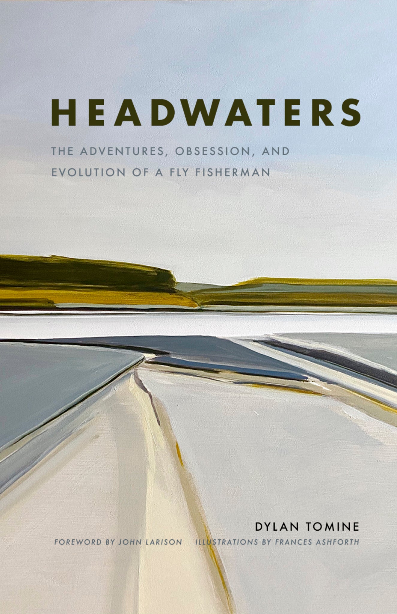 Cover image for Headwaters ISBN