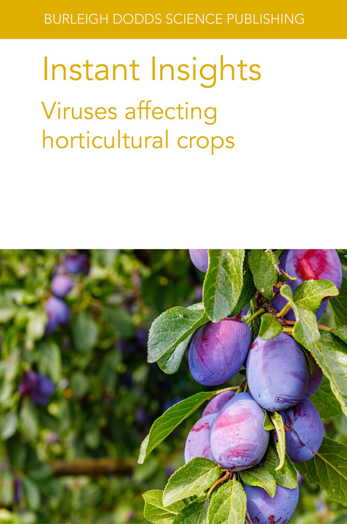 Cover image for Instant Insights: Viruses affecting horticultural crops ISBN 9781835450048