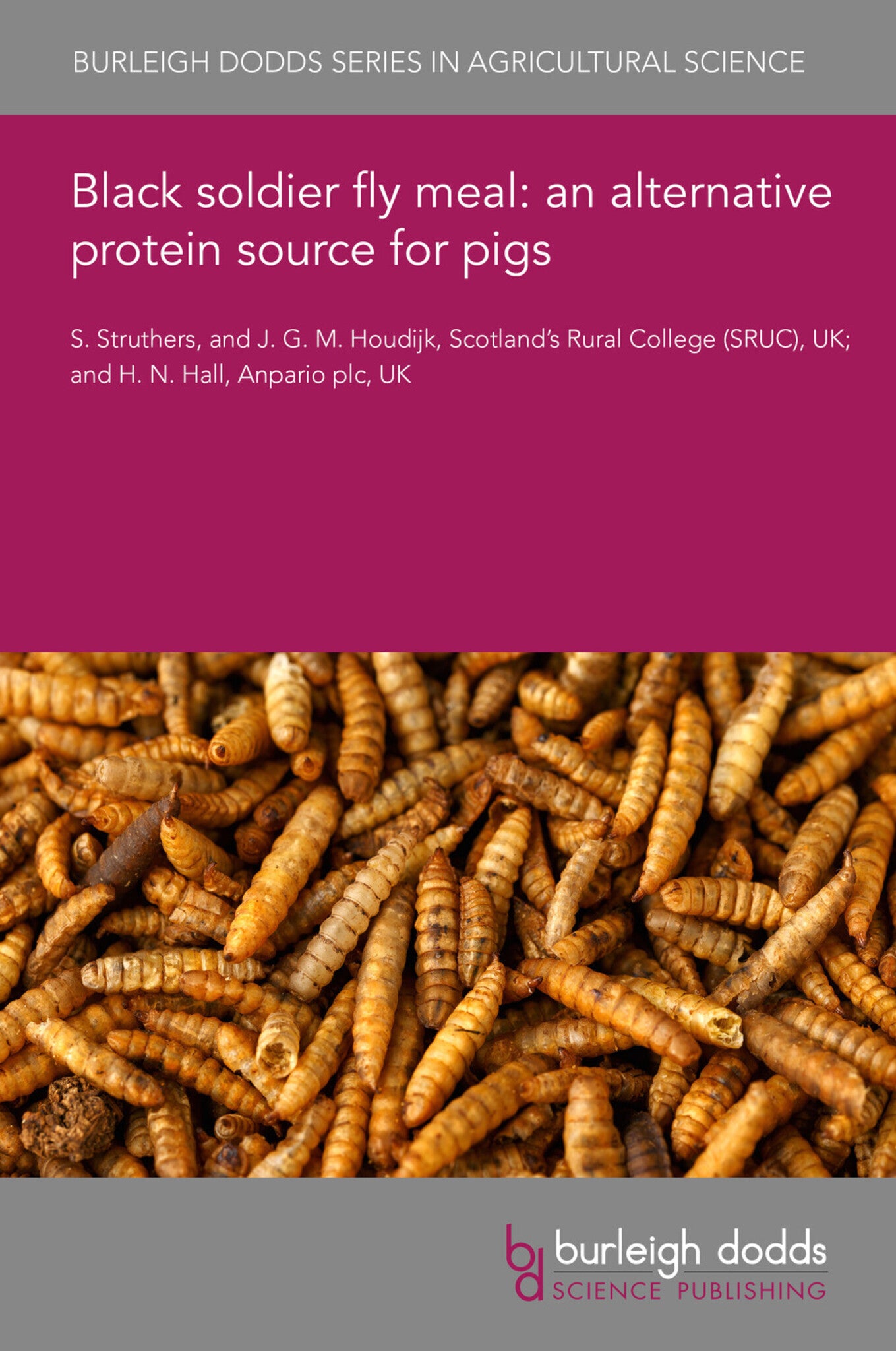 Cover image for Black soldier fly meal: an alternative protein source for pigs ISBN 9781835453414