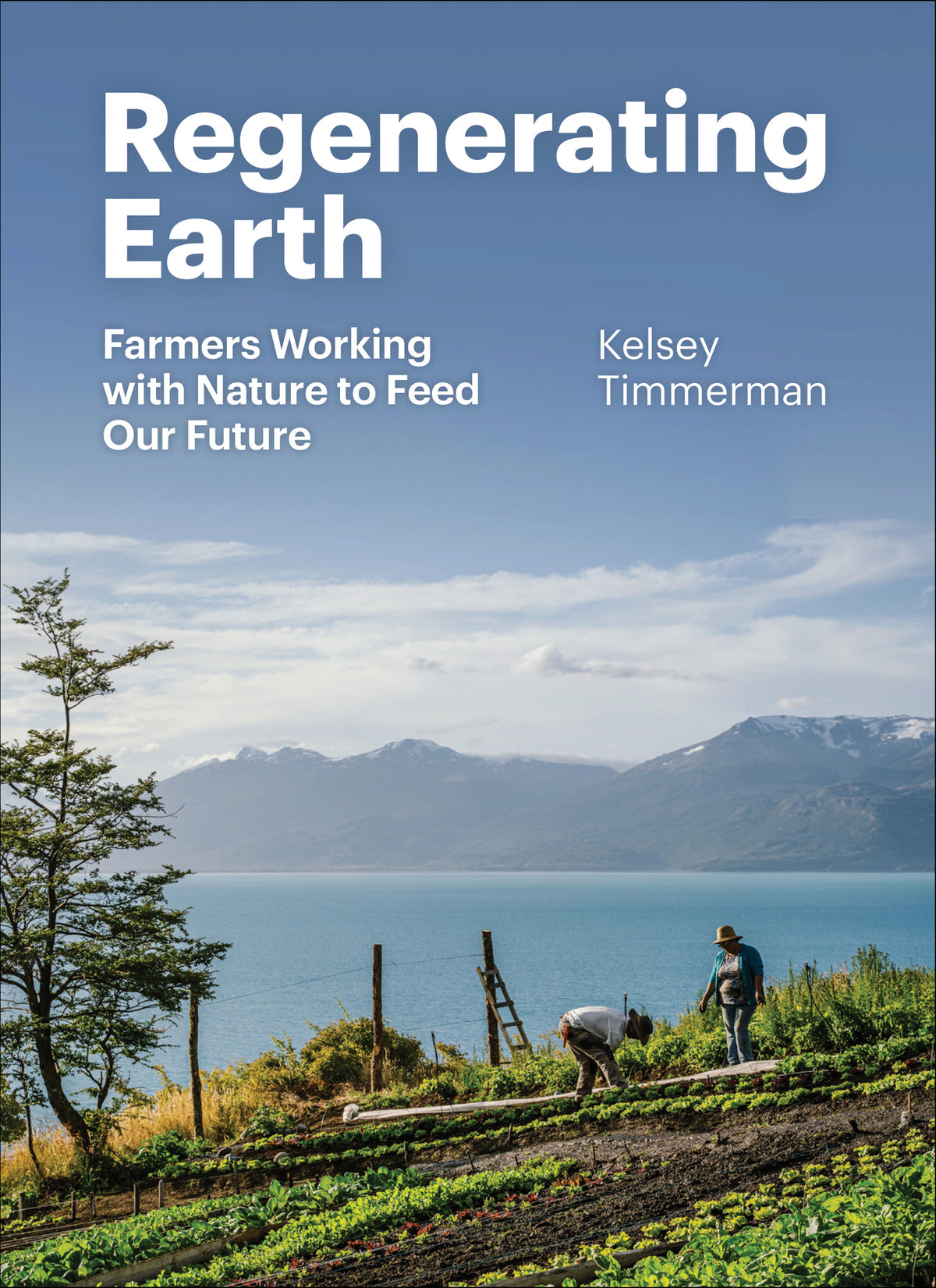 Cover image for Regenerating Earth ISBN