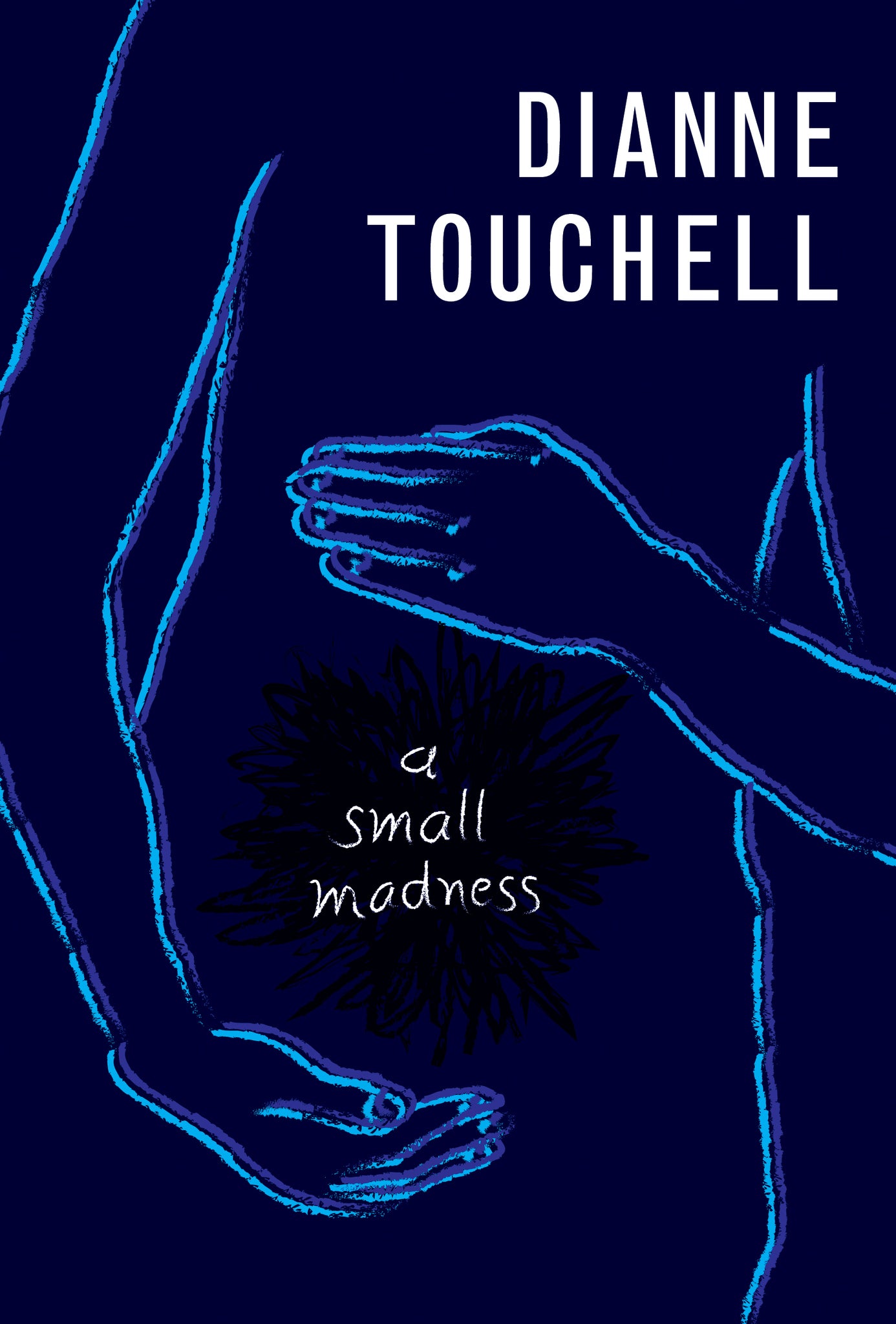 Cover image for A Small Madness ISBN 9781554988372