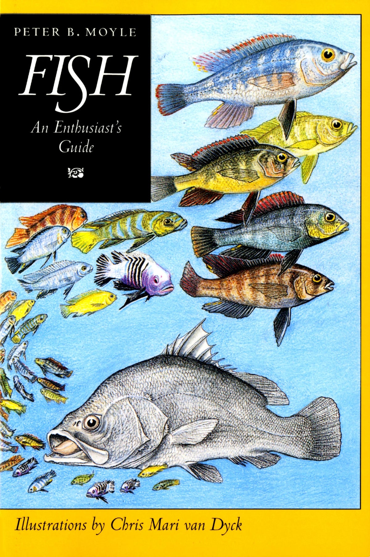 Cover image for Fish ISBN 9780520916654