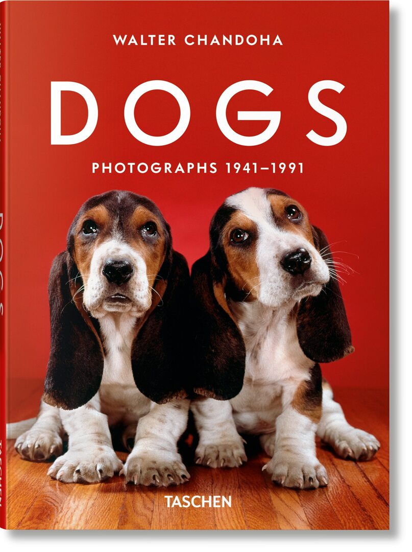 Cover image for Walter Chandoha. Dogs. Photographs 1941–1991 ISBN 9783754400258