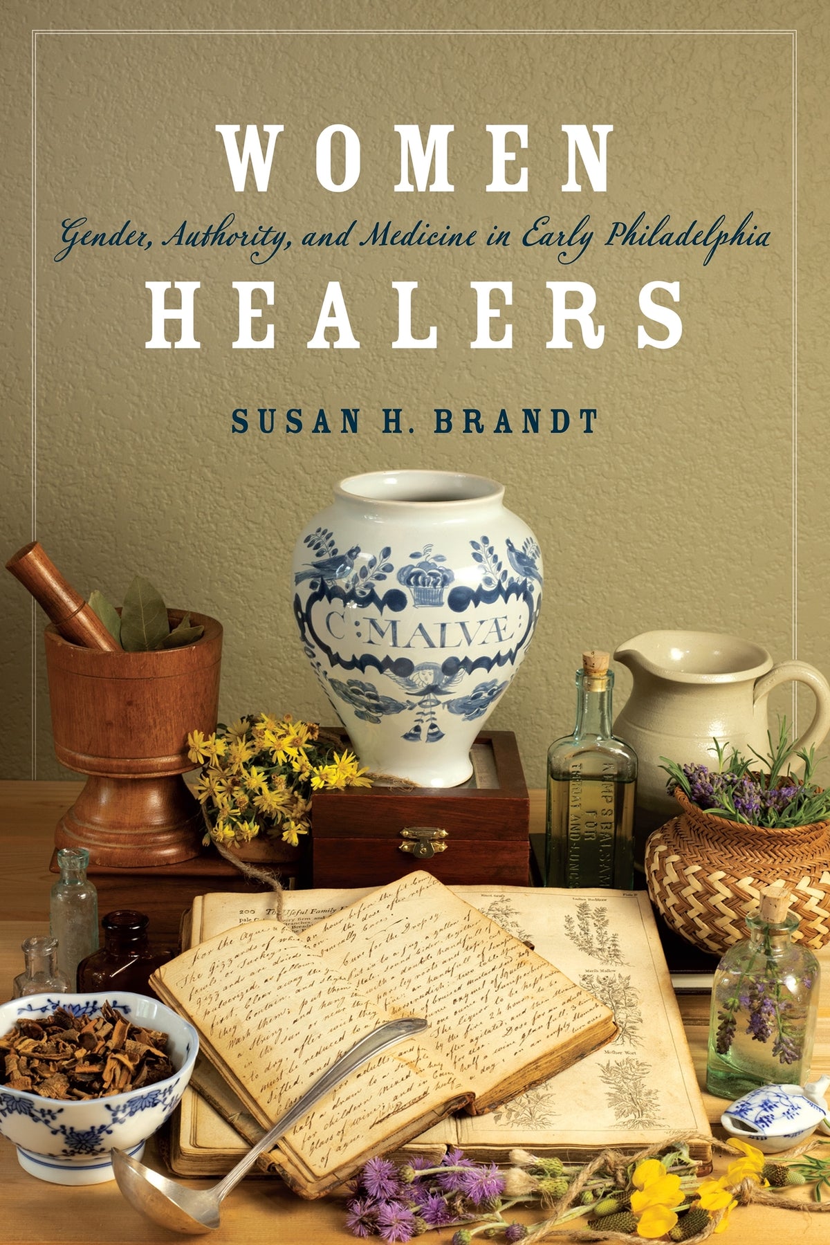 Cover image for Women Healers ISBN 9780812253863