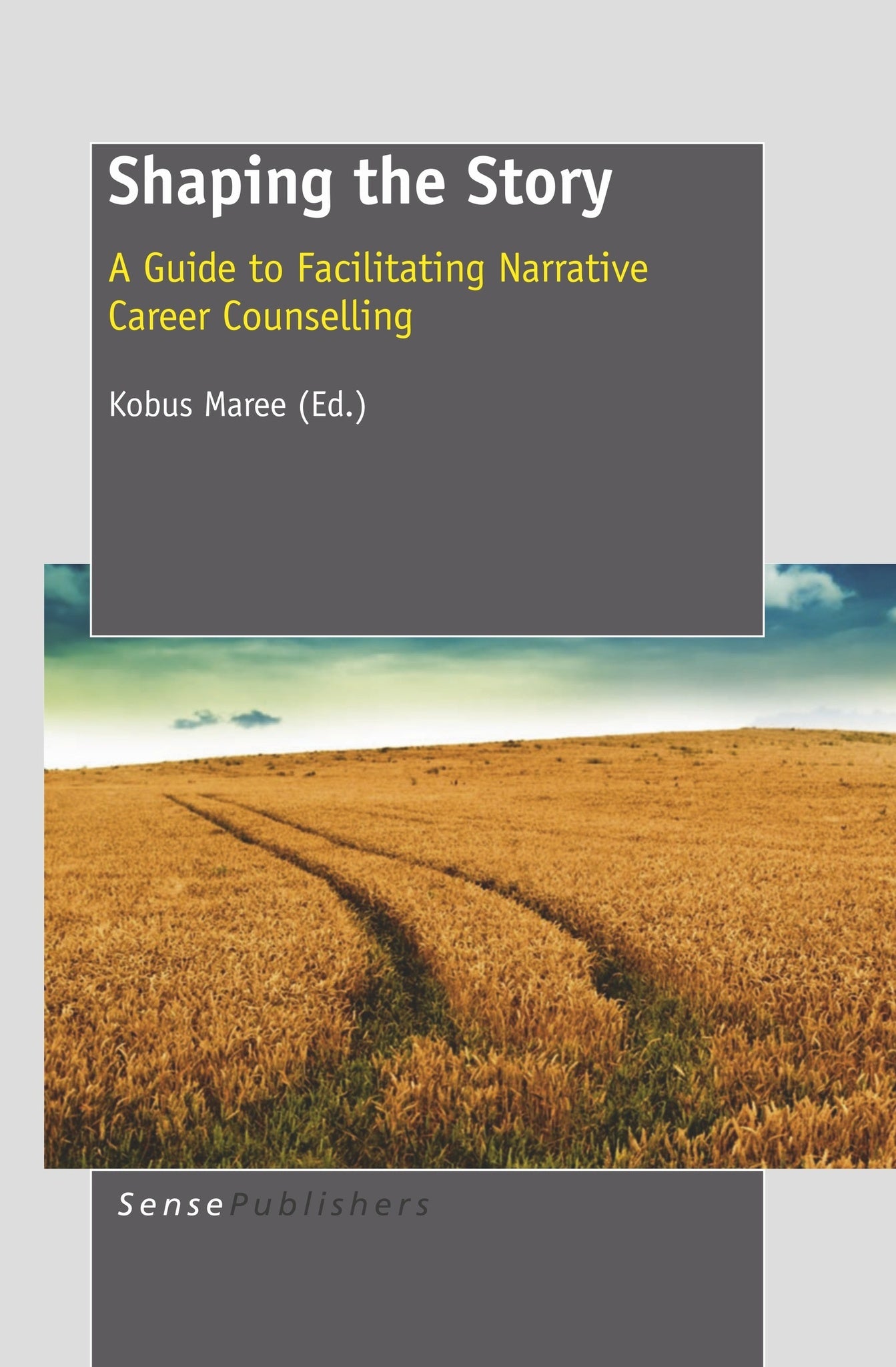 Shaping the Story