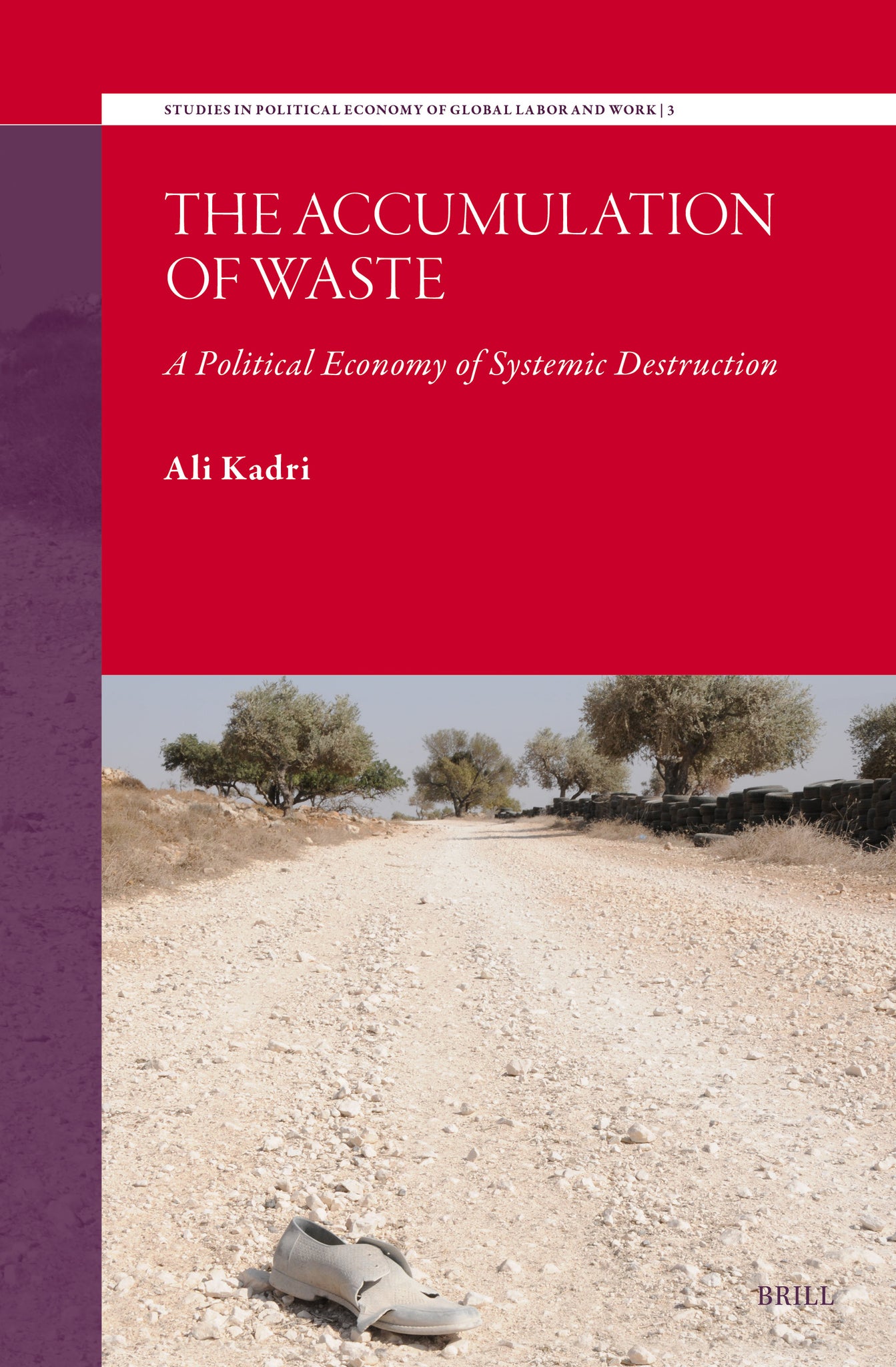 Cover image for The Accumulation of Waste ISBN 9789004720145