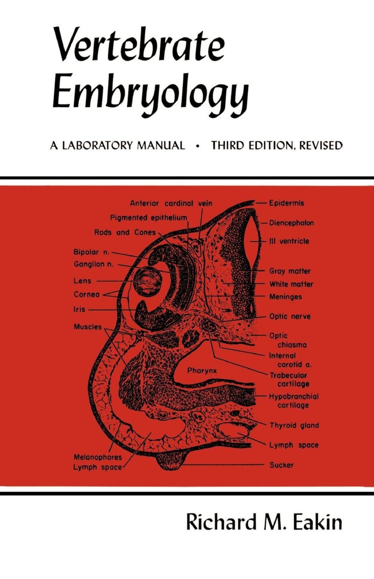 Cover image for Vertebrate Embryology ISBN 9780520035935