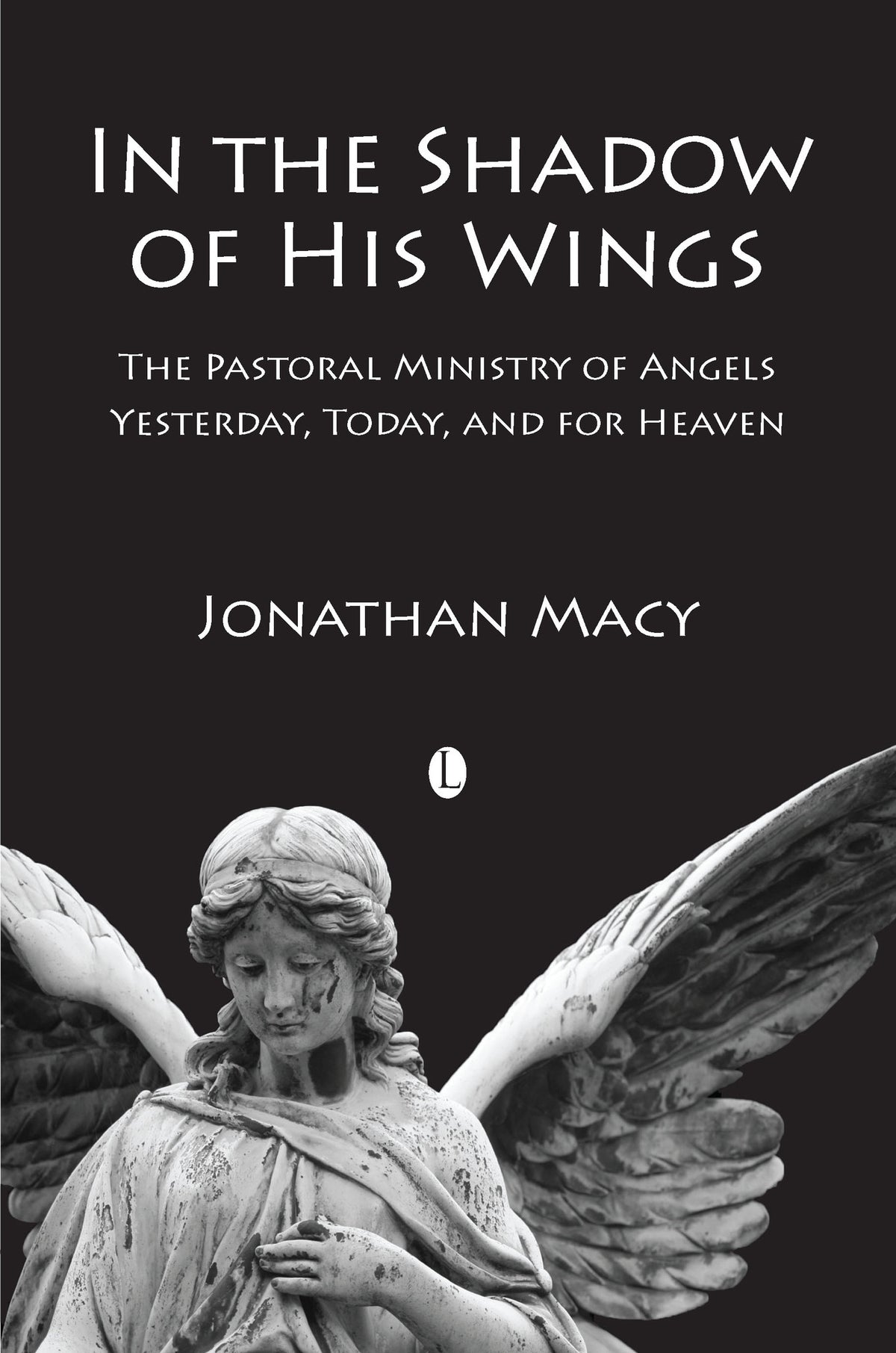 Cover image for In the Shadow of his Wings ISBN 9780718892500