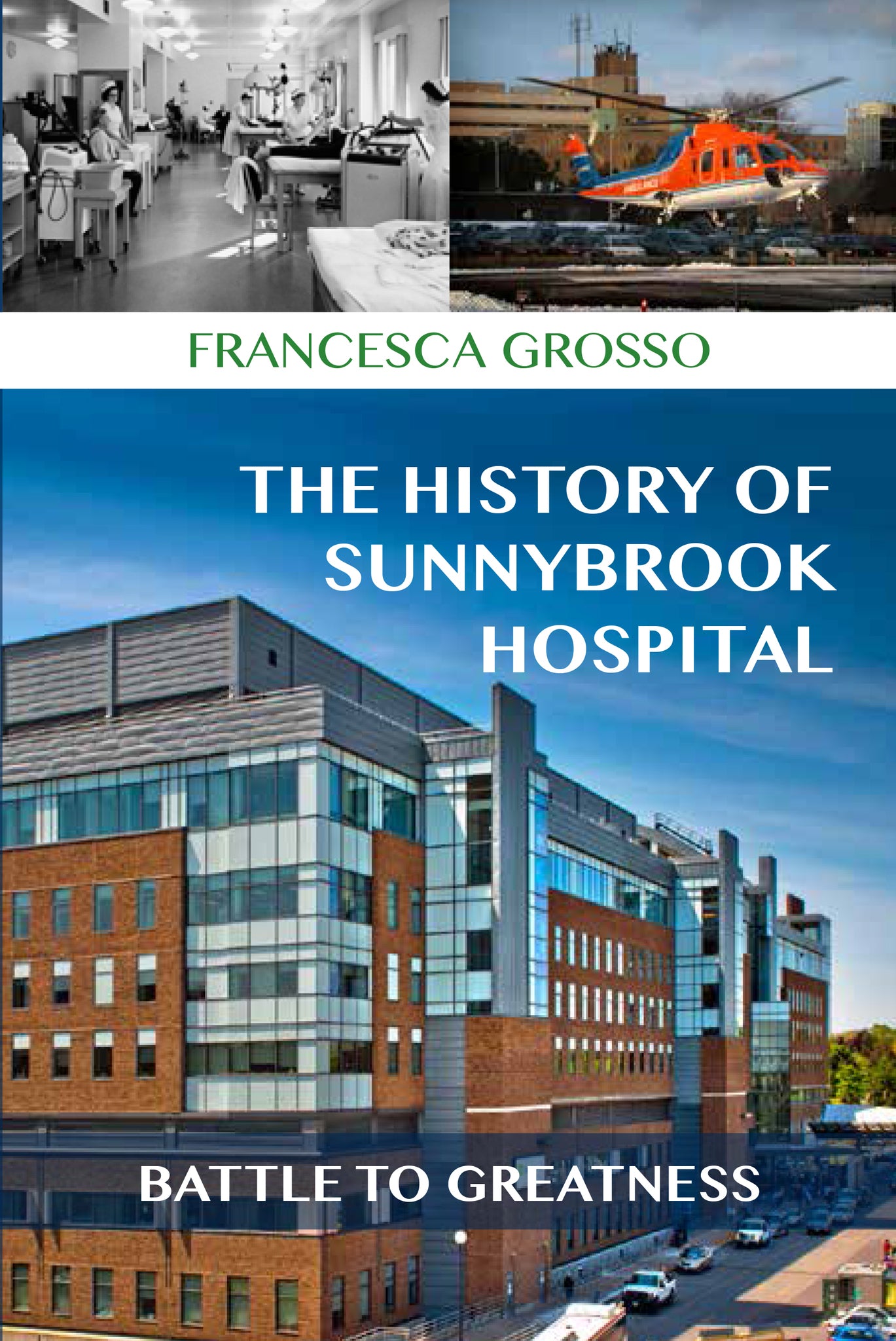 Cover image for The History of Sunnybrook Hospital ISBN 9781459729926