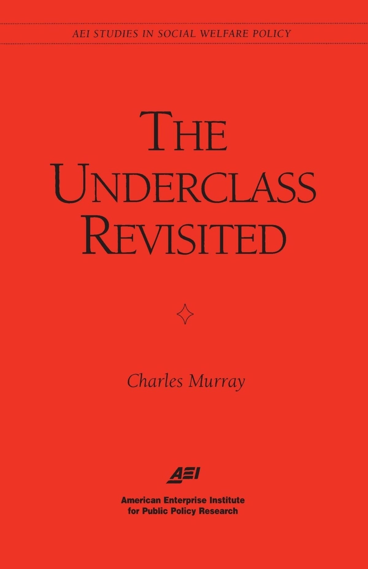 Cover image for The Underclass Revisited ISBN 9780844771311