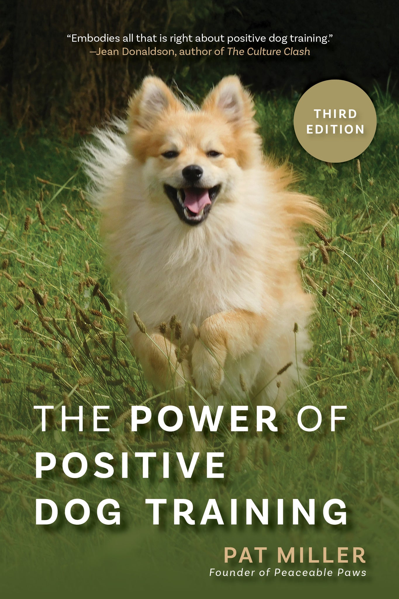 The Power of Positive Dog Training