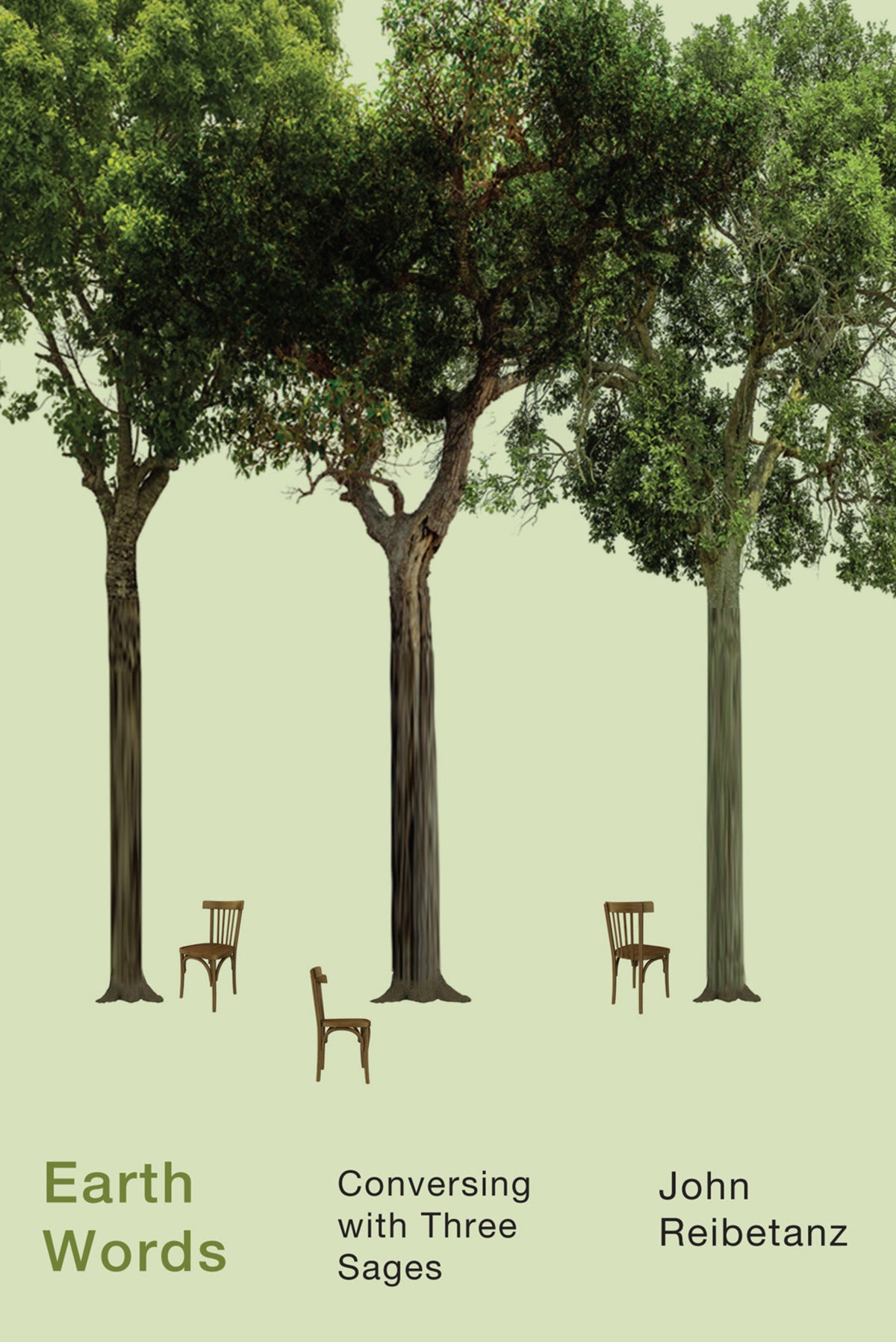 Cover image for Earth Words ISBN 9780228010098