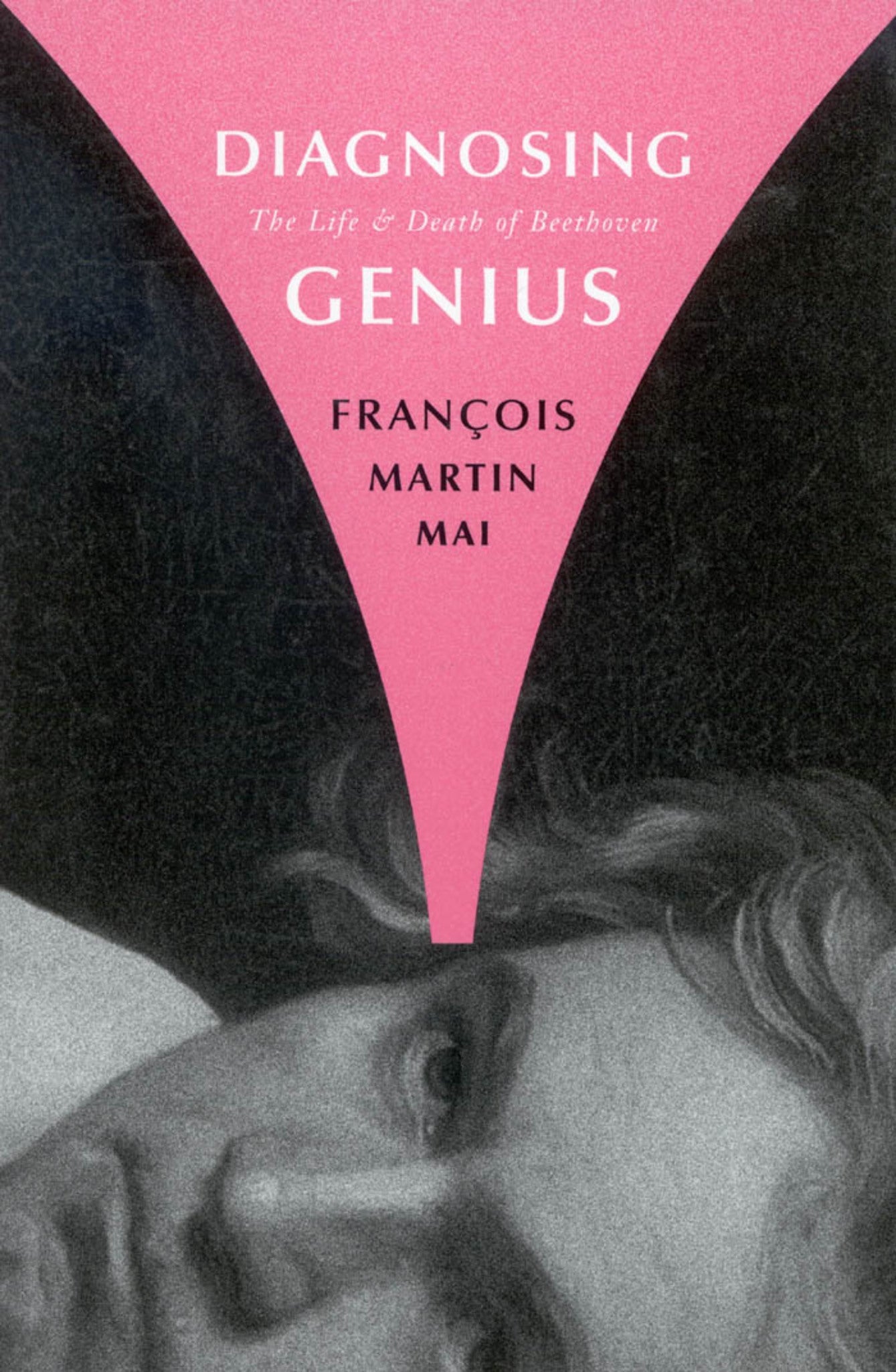 Cover image for Diagnosing Genius ISBN 9780773578791