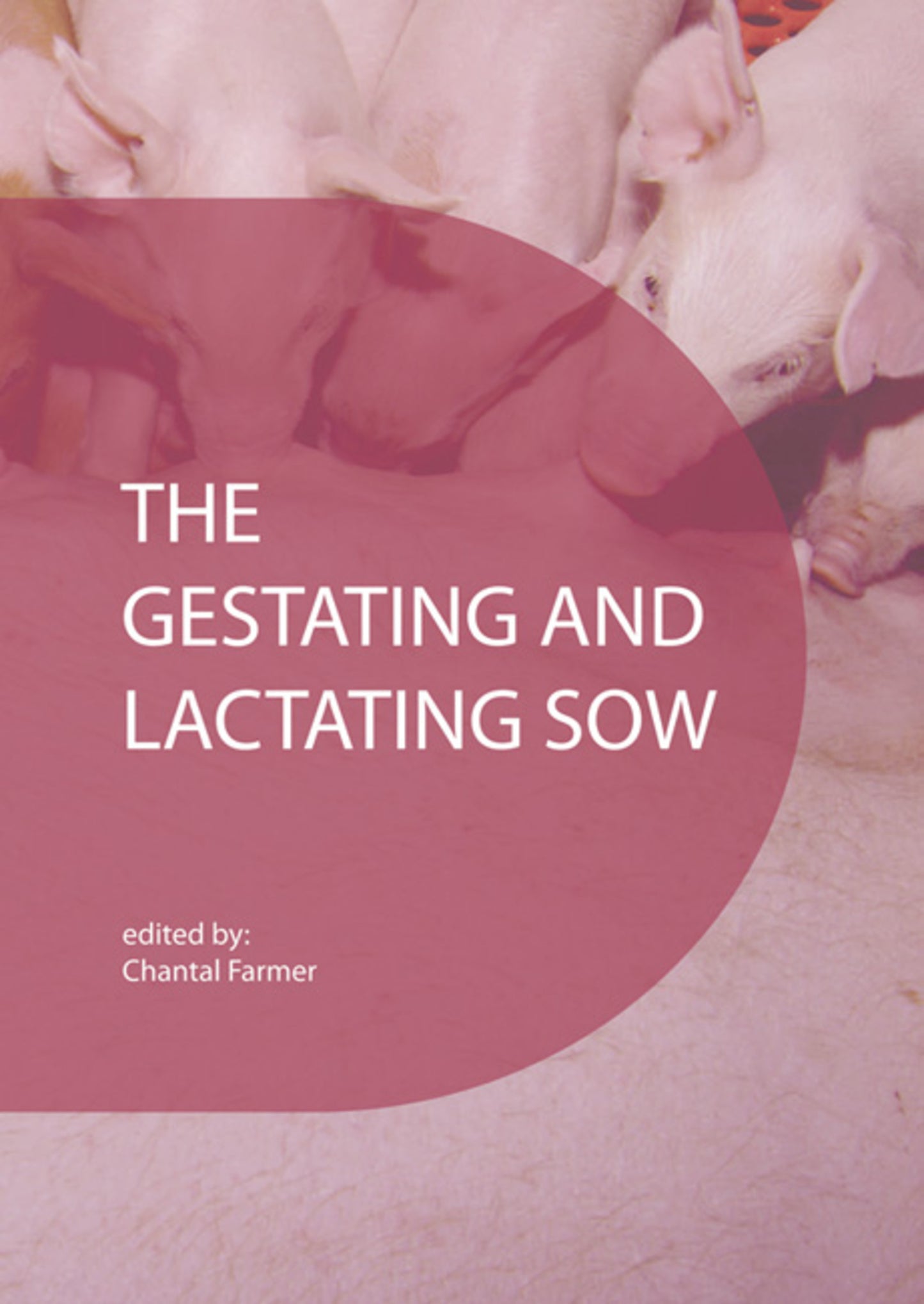 The gestating and lactating sow