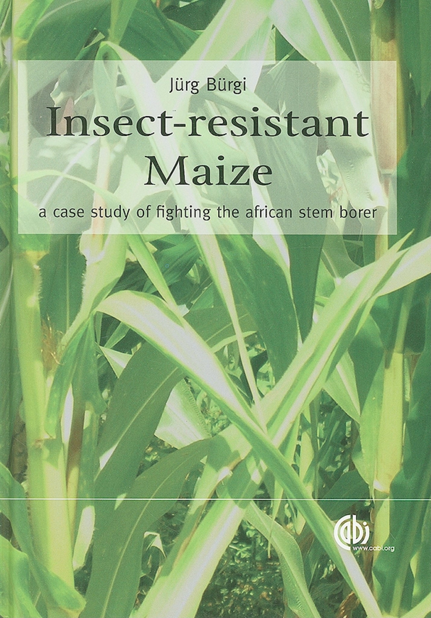 Insect-resistant Maize