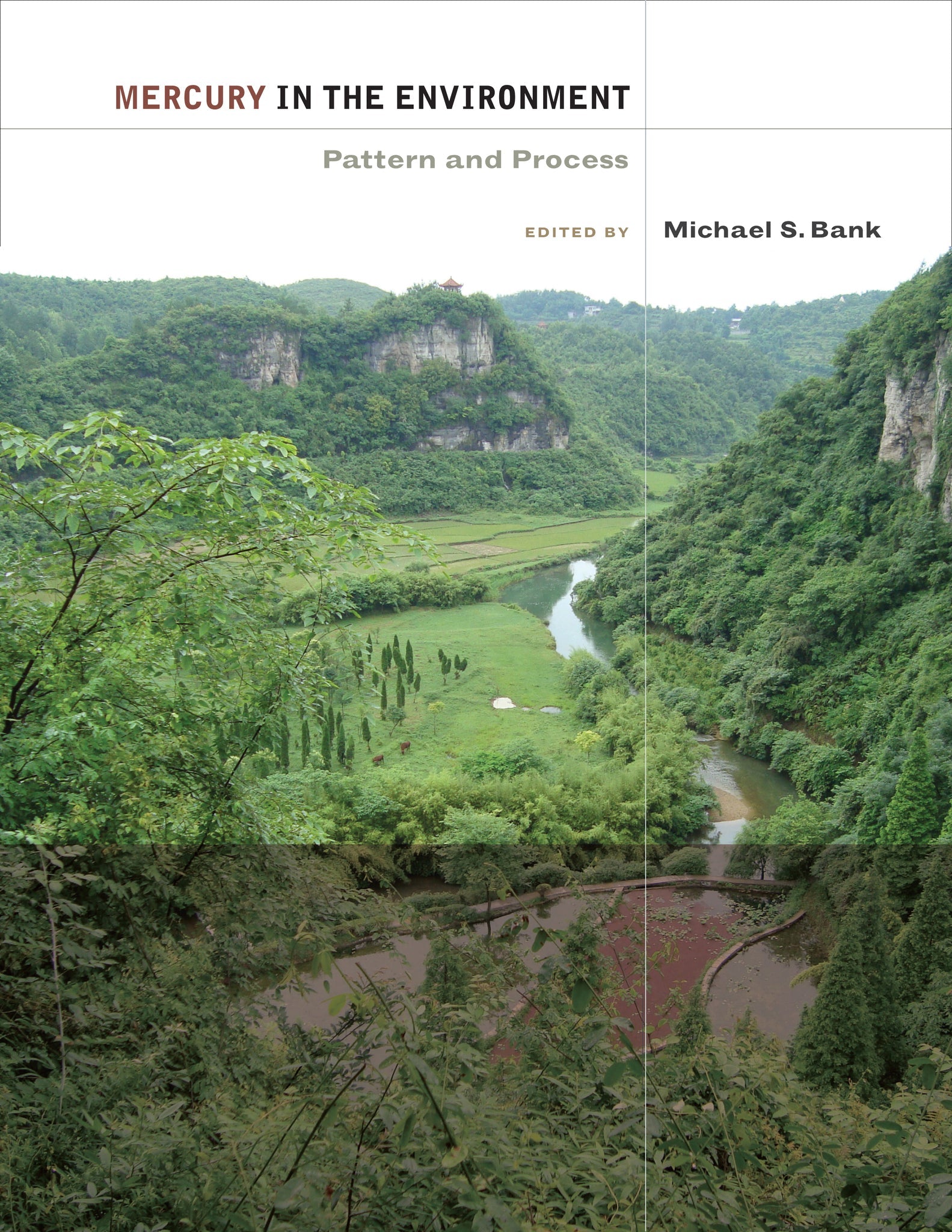 Cover image for Mercury in the Environment ISBN 9780520951396