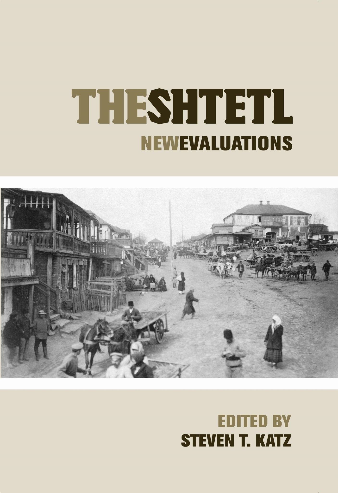 Cover image for The Shtetl ISBN 9780814748015