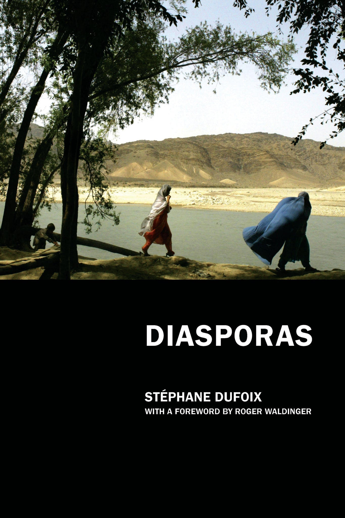 Cover image for Diasporas ISBN 9780520941298