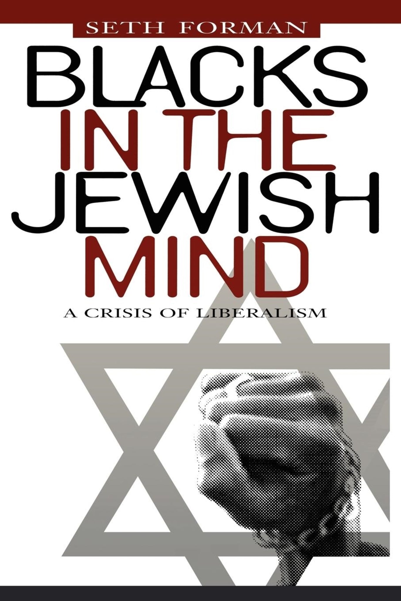Cover image for Blacks in the Jewish Mind ISBN 9780814728093