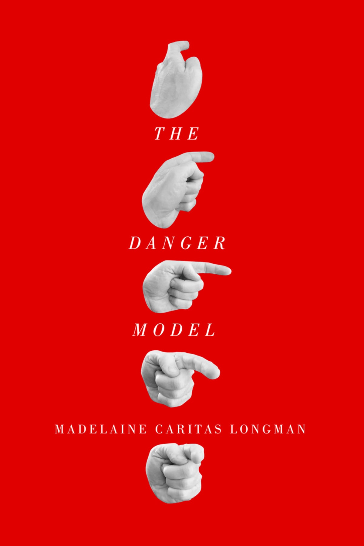 Cover image for The Danger Model ISBN 9780228000235