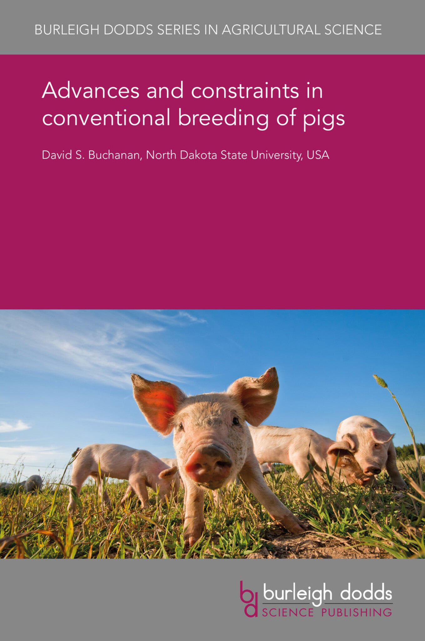 Cover image for Advances and constraints in conventional breeding of pigs ISBN 9781838795023